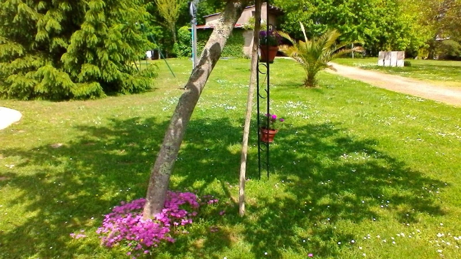 Photo 29