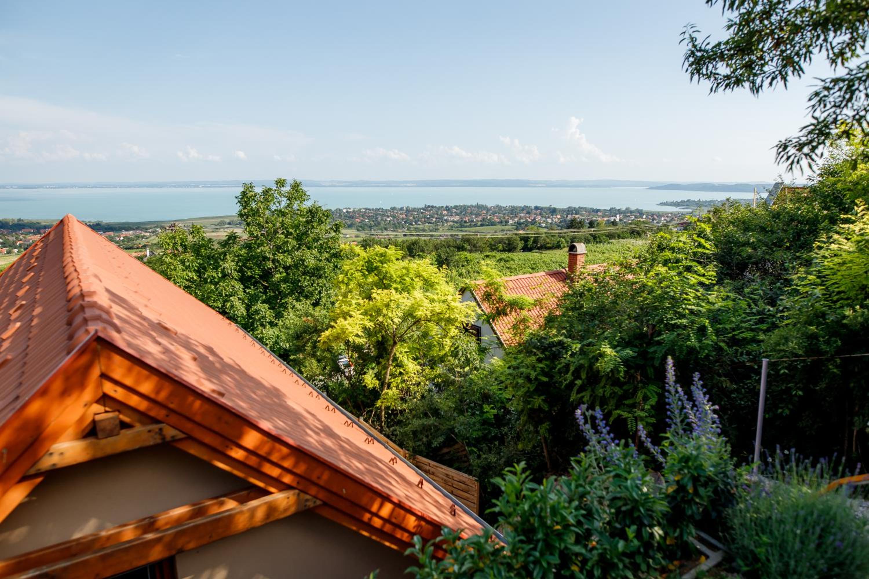 Panoráma Csopak