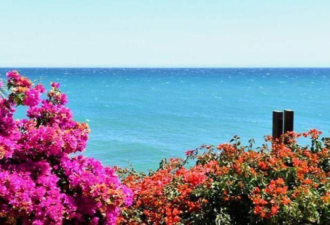 Villa Oceane view 5