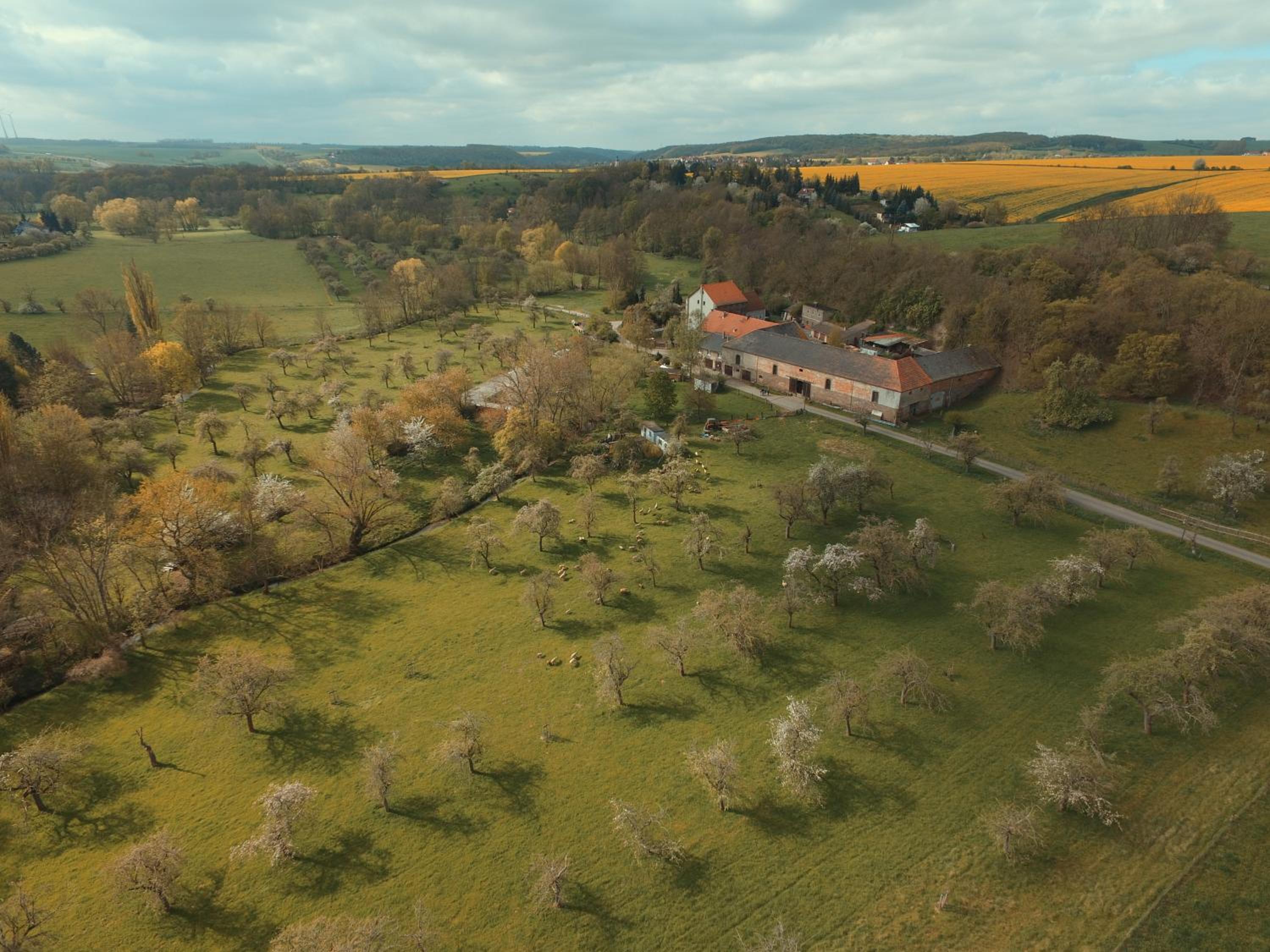 Ferienwohnung Kroppenmühle view 2