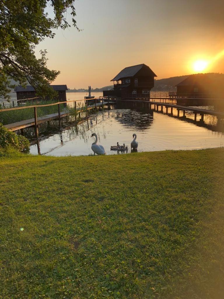Apartementhaus Helene am Klopeinersee