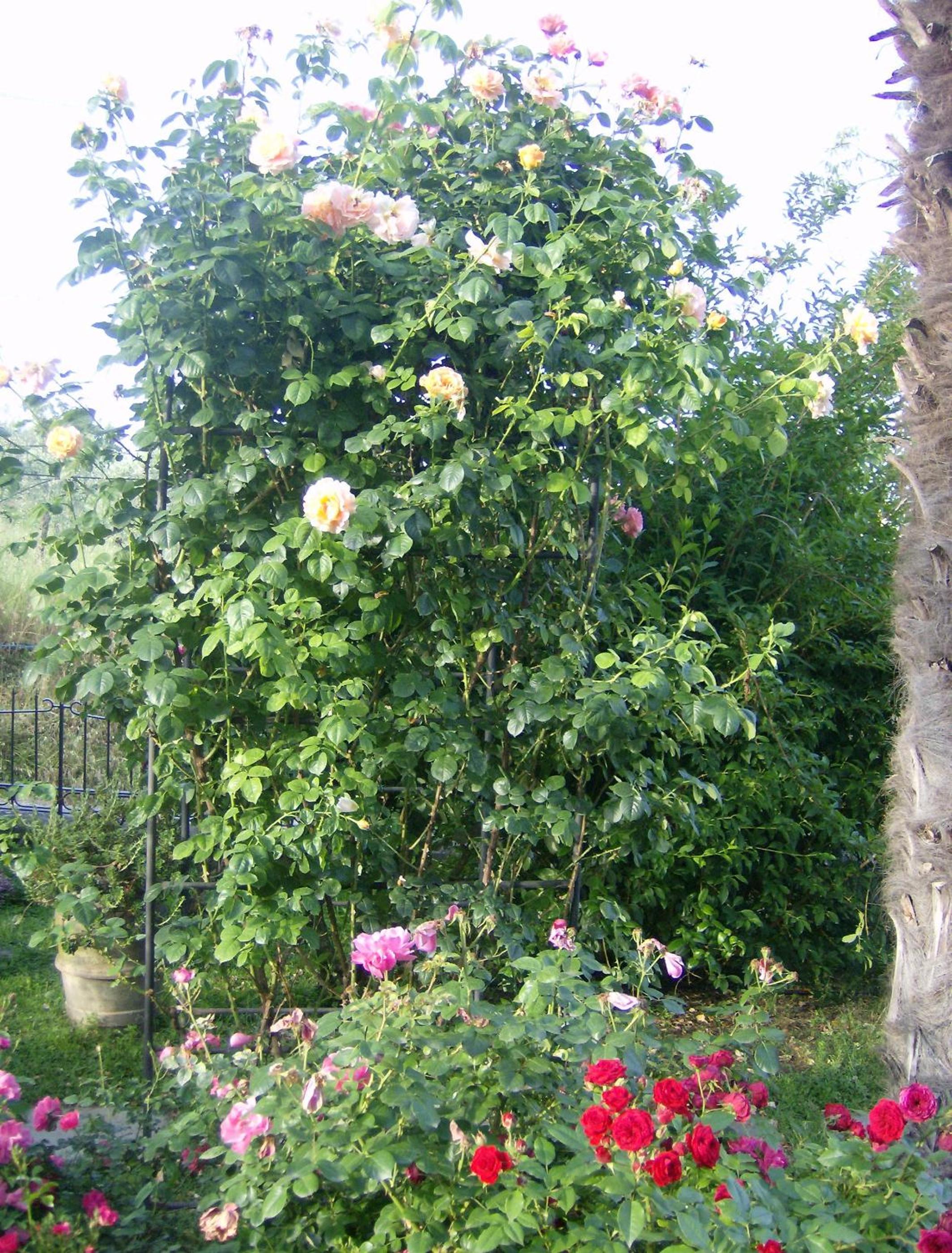 Casa Dina