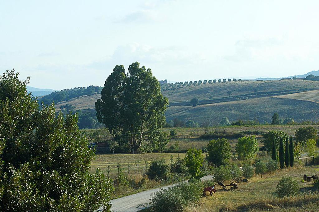 Photo 32