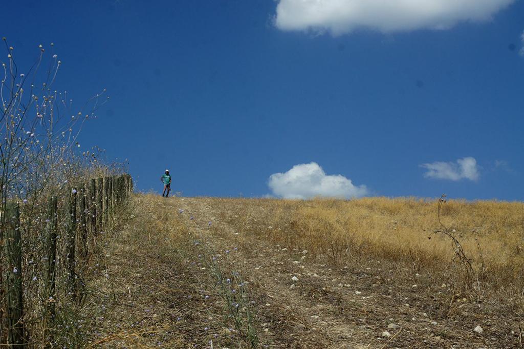 Photo 34