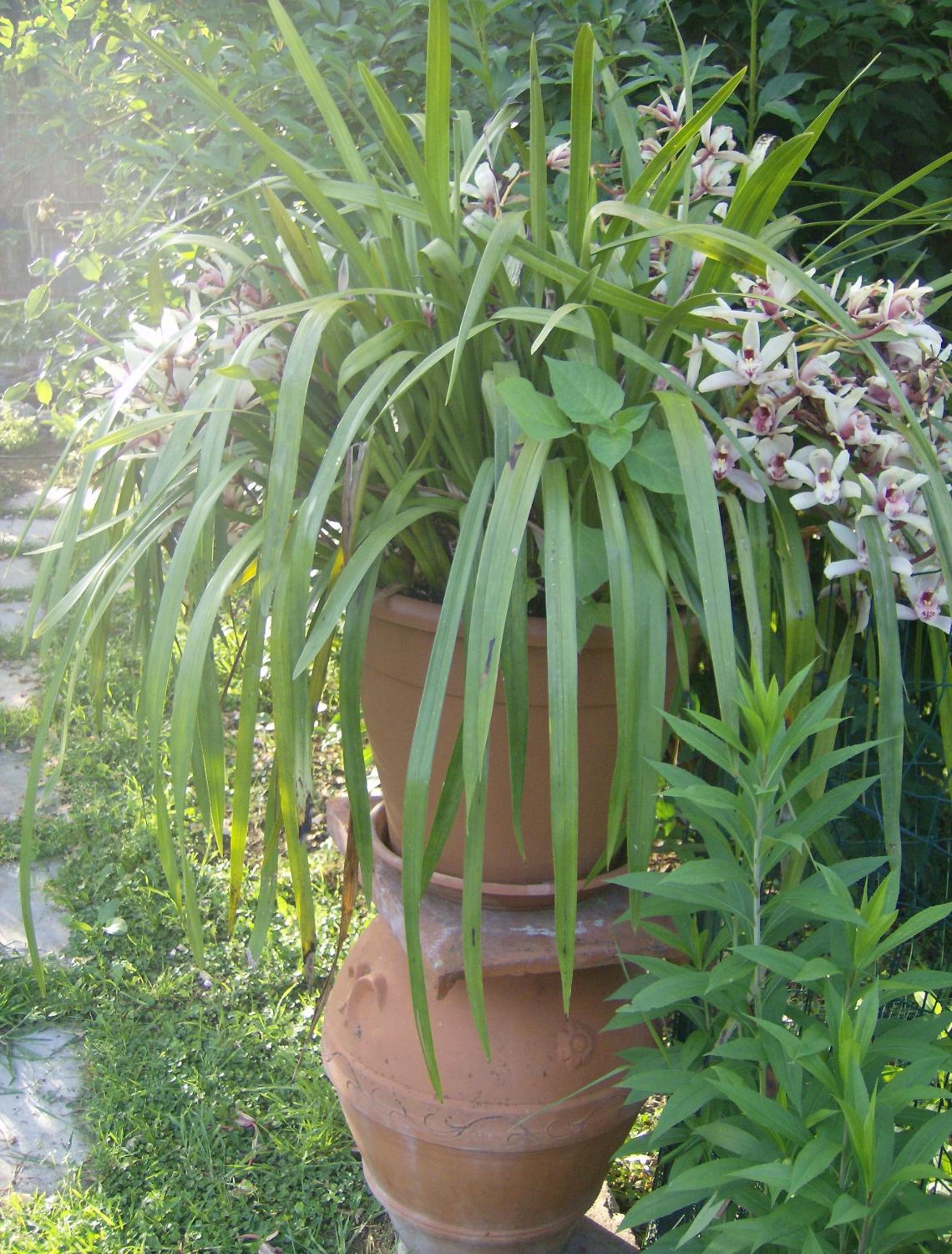 Casa Dina