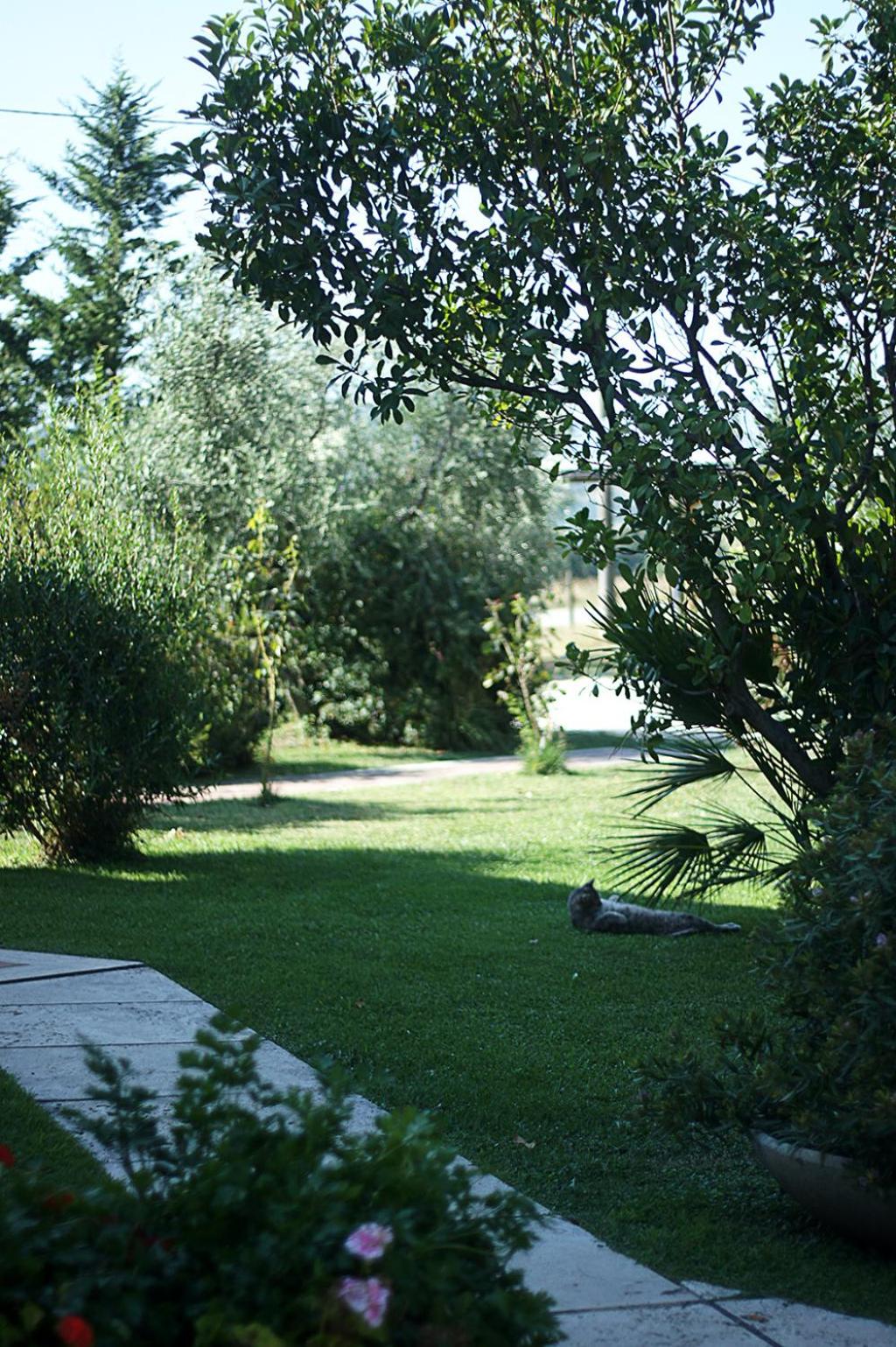 Photo 53
