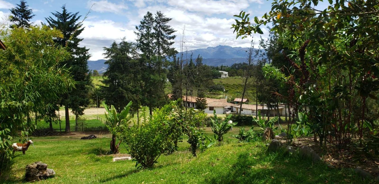 Zaysant Ecolodge