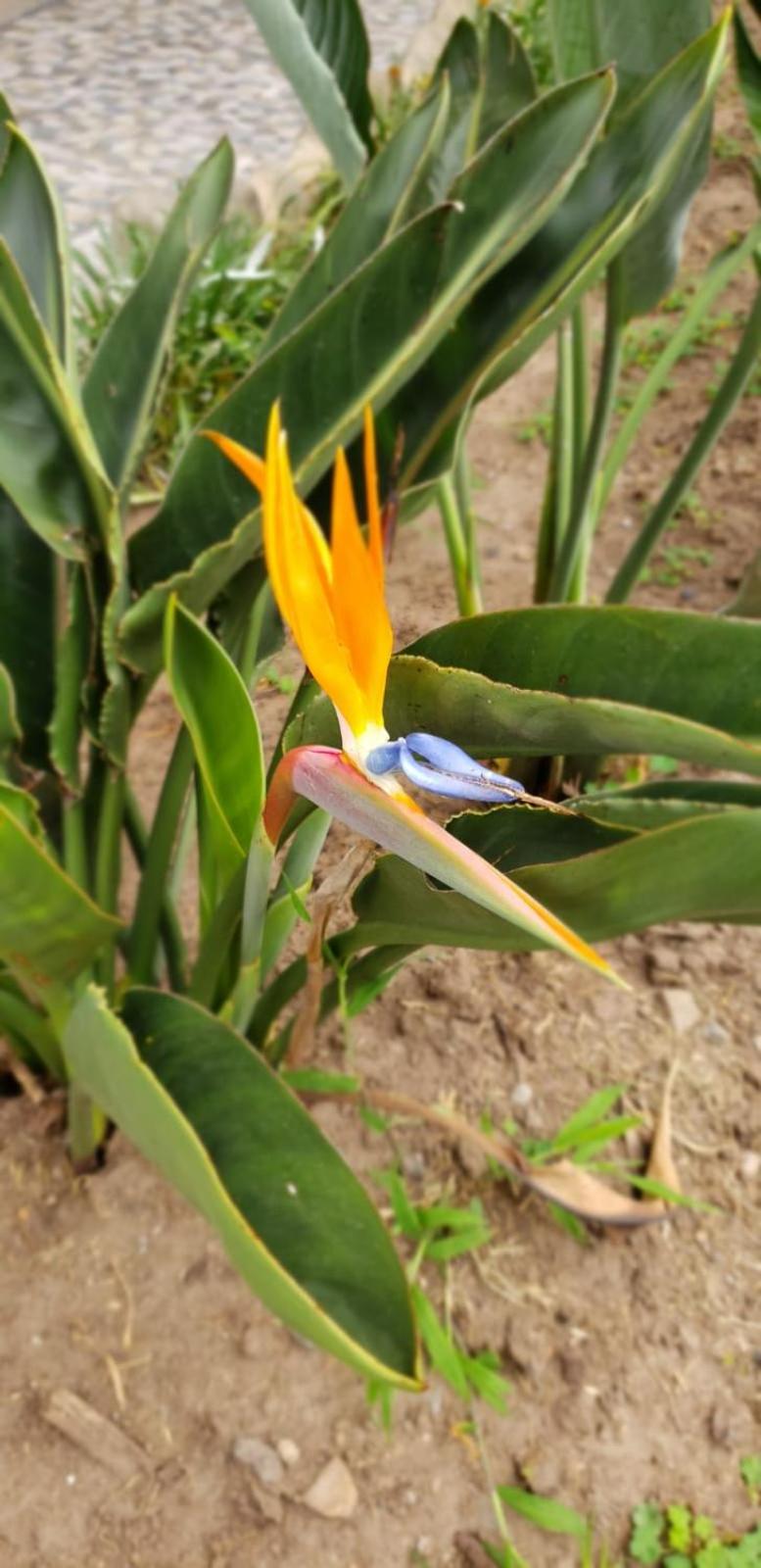 Zaysant Ecolodge