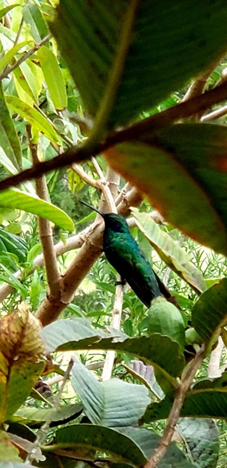 Zaysant Ecolodge