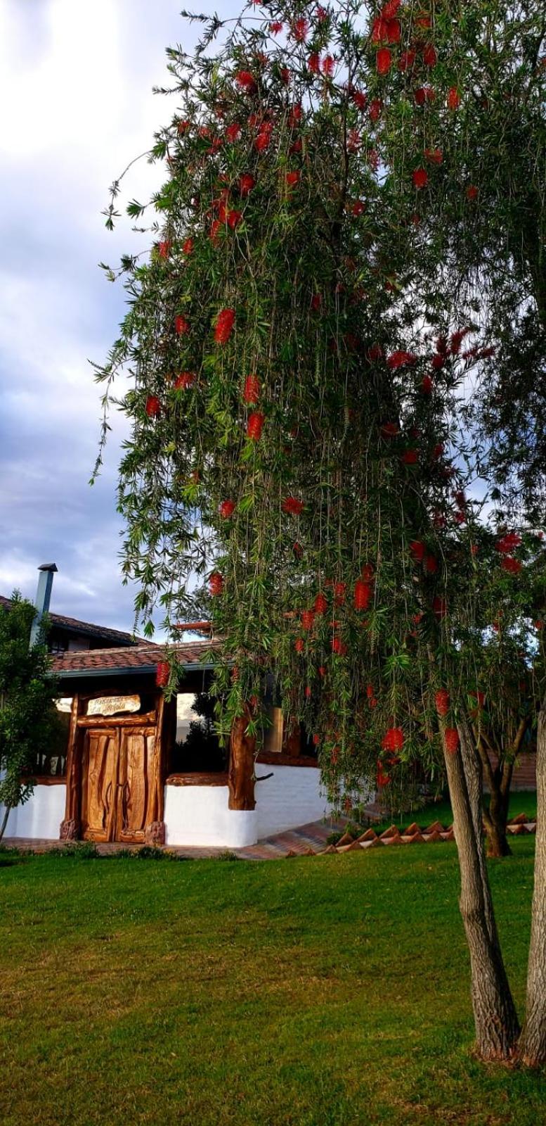 Zaysant Ecolodge