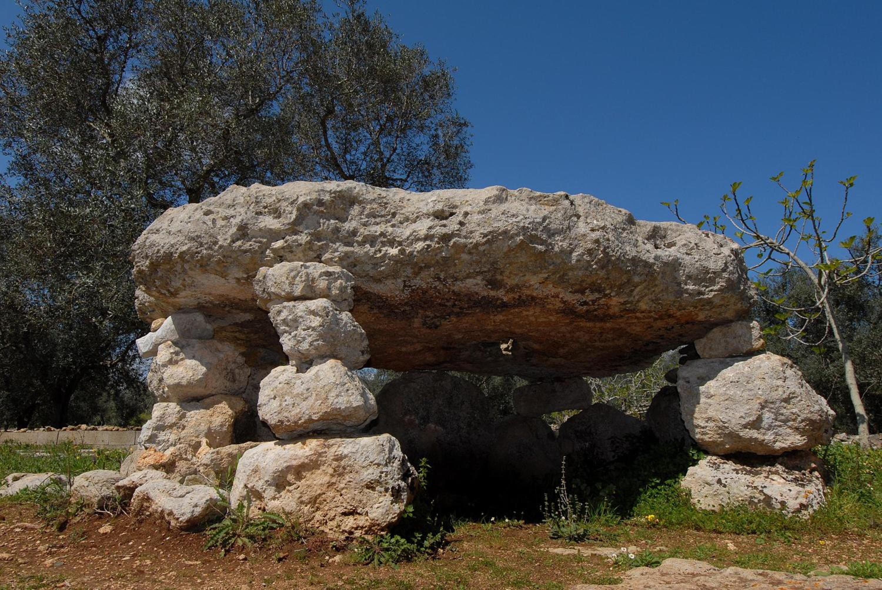 Photo 41