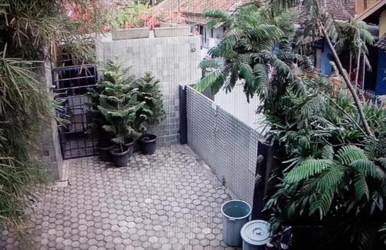 Photo 37