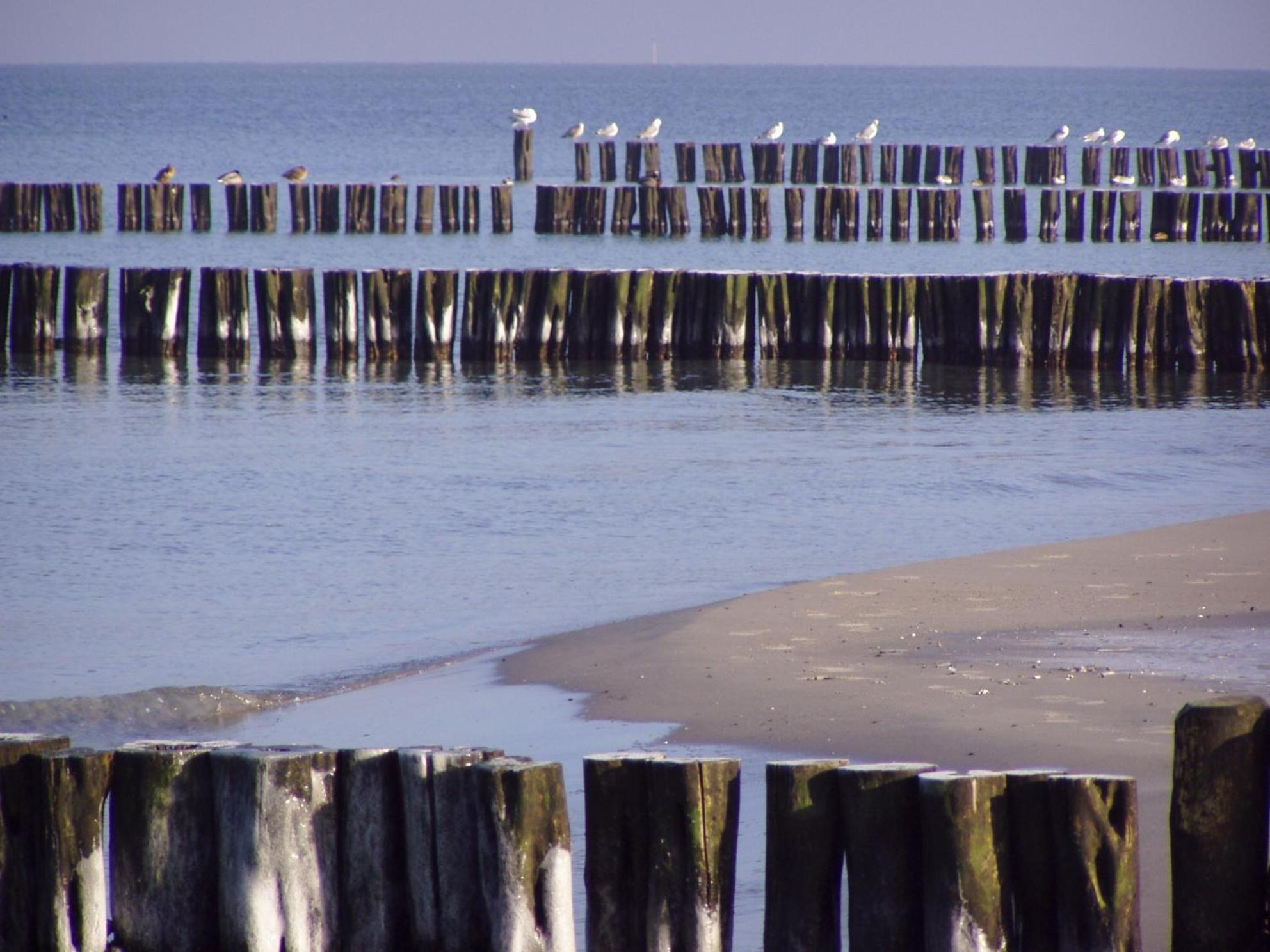 Kuddels Fischerhus 2