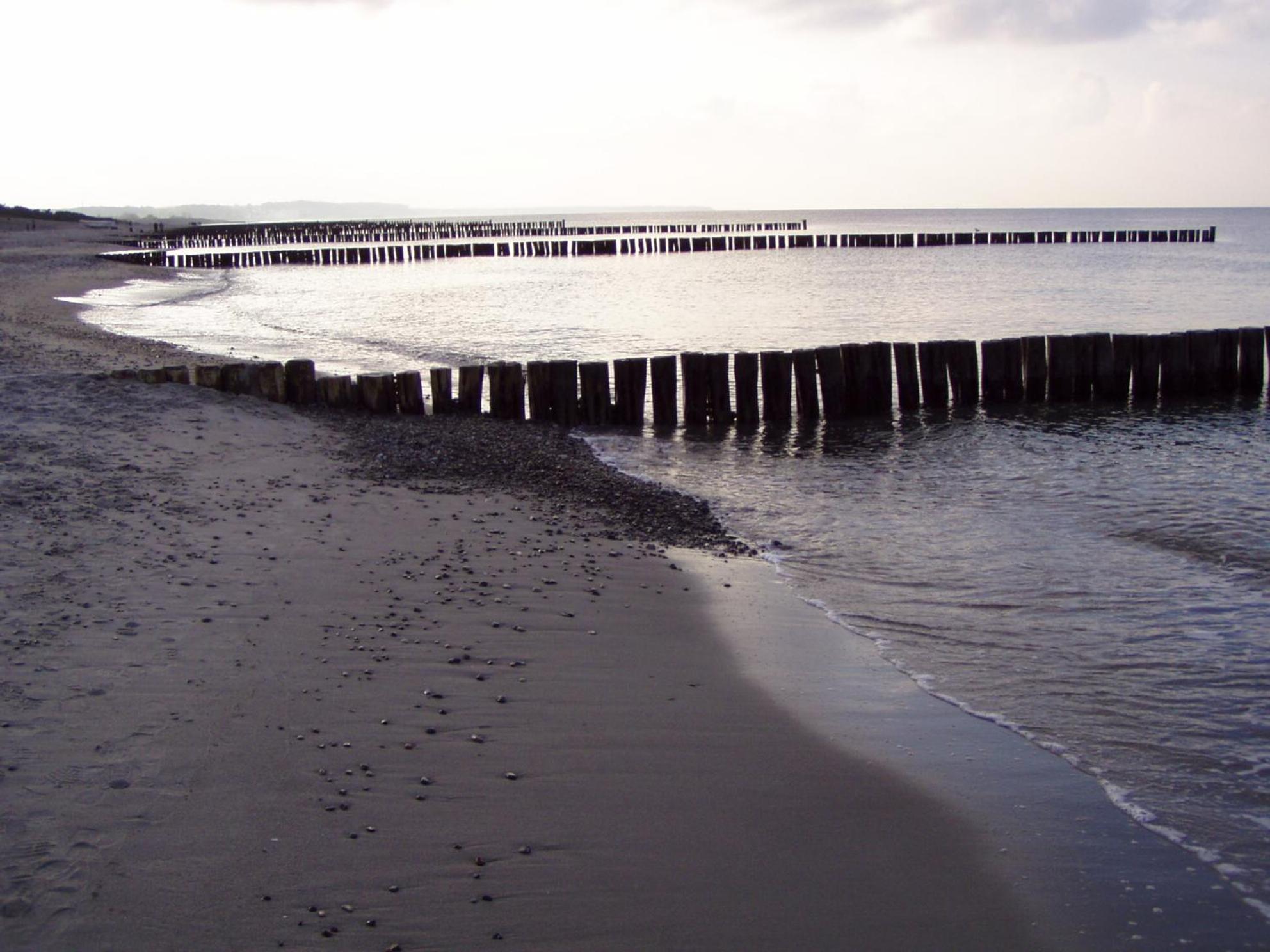Kuddels Fischerhus 2