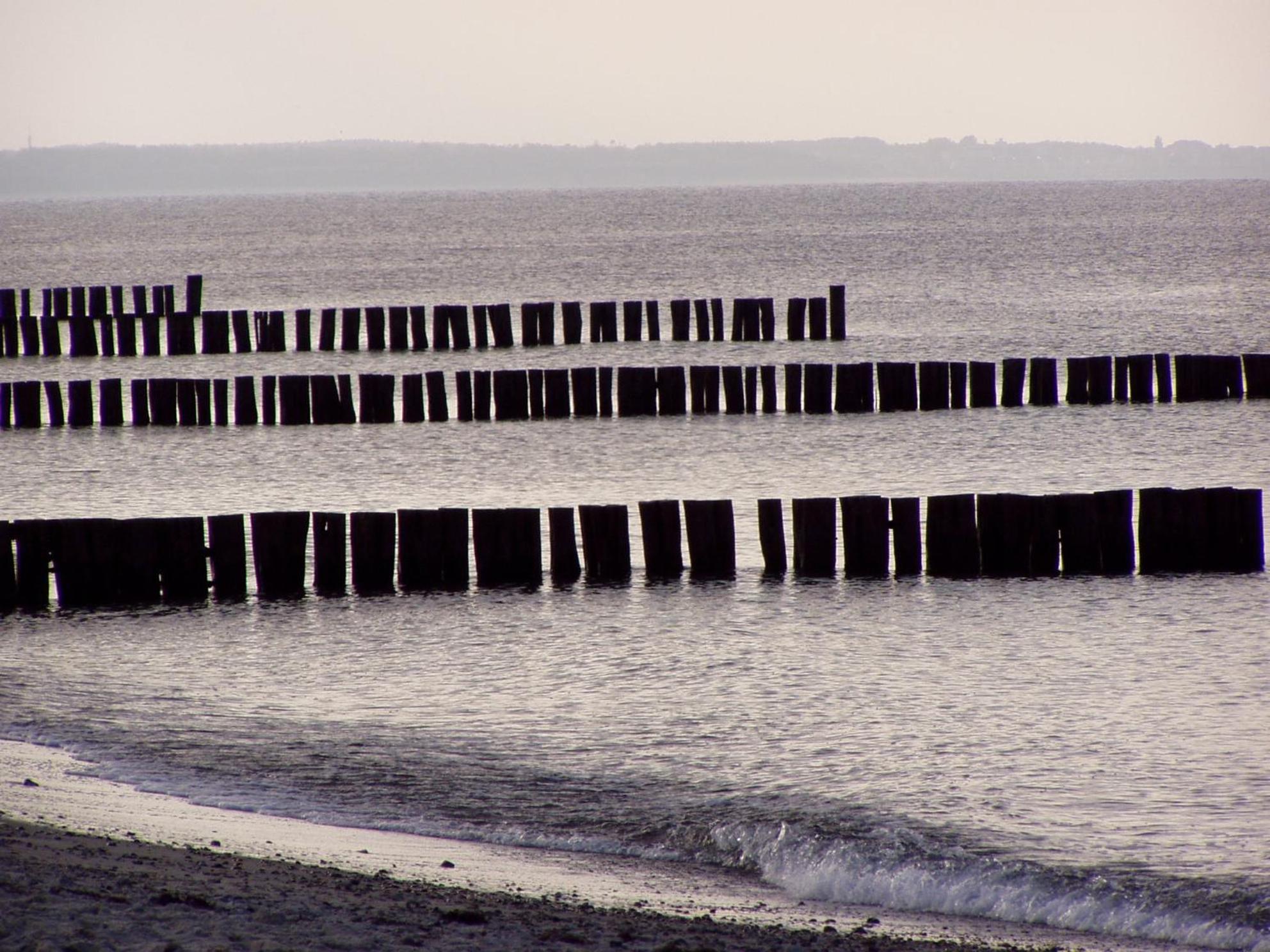 Kuddels Fischerhus 2