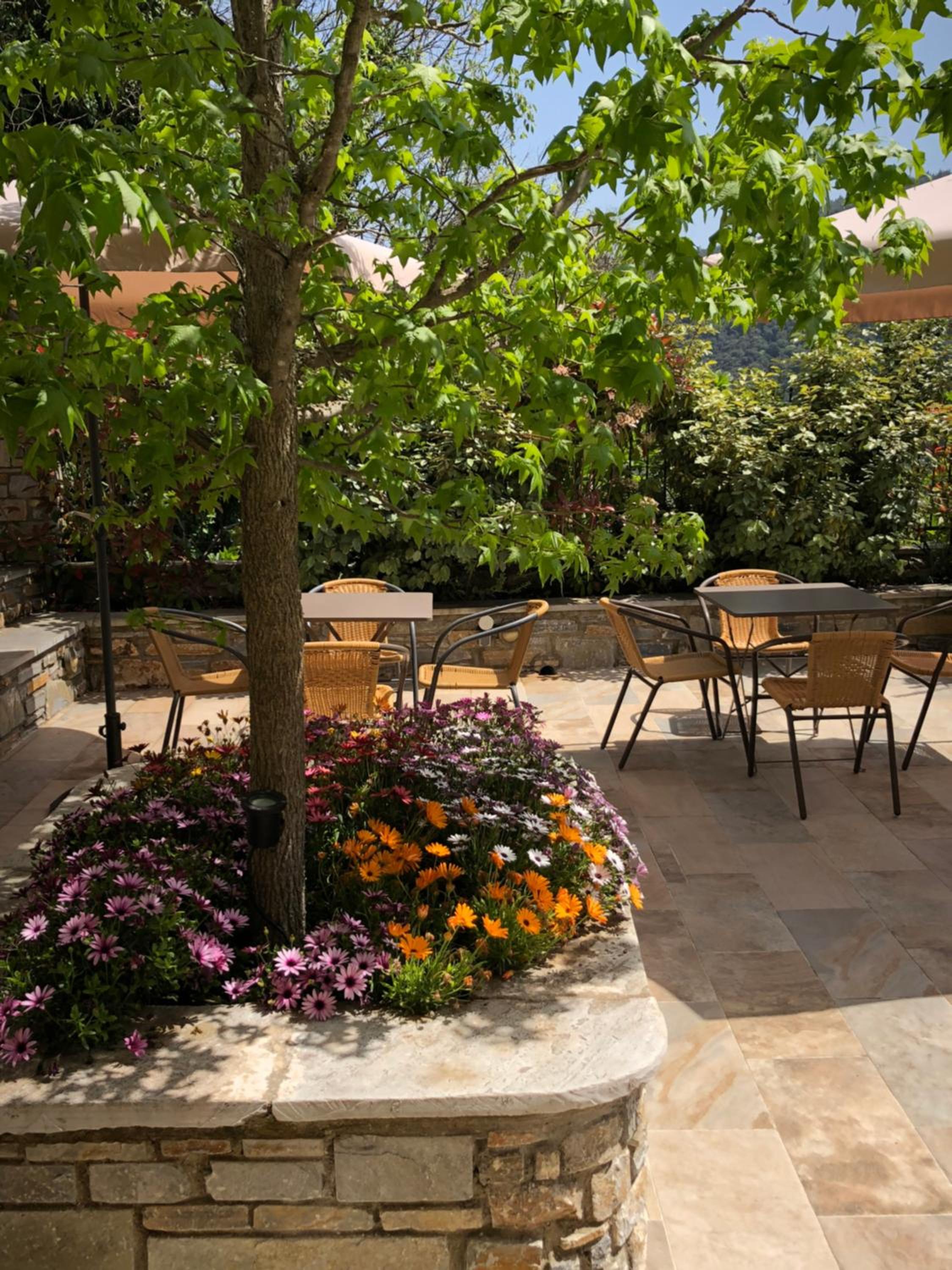 Thalia Traditional Guest House