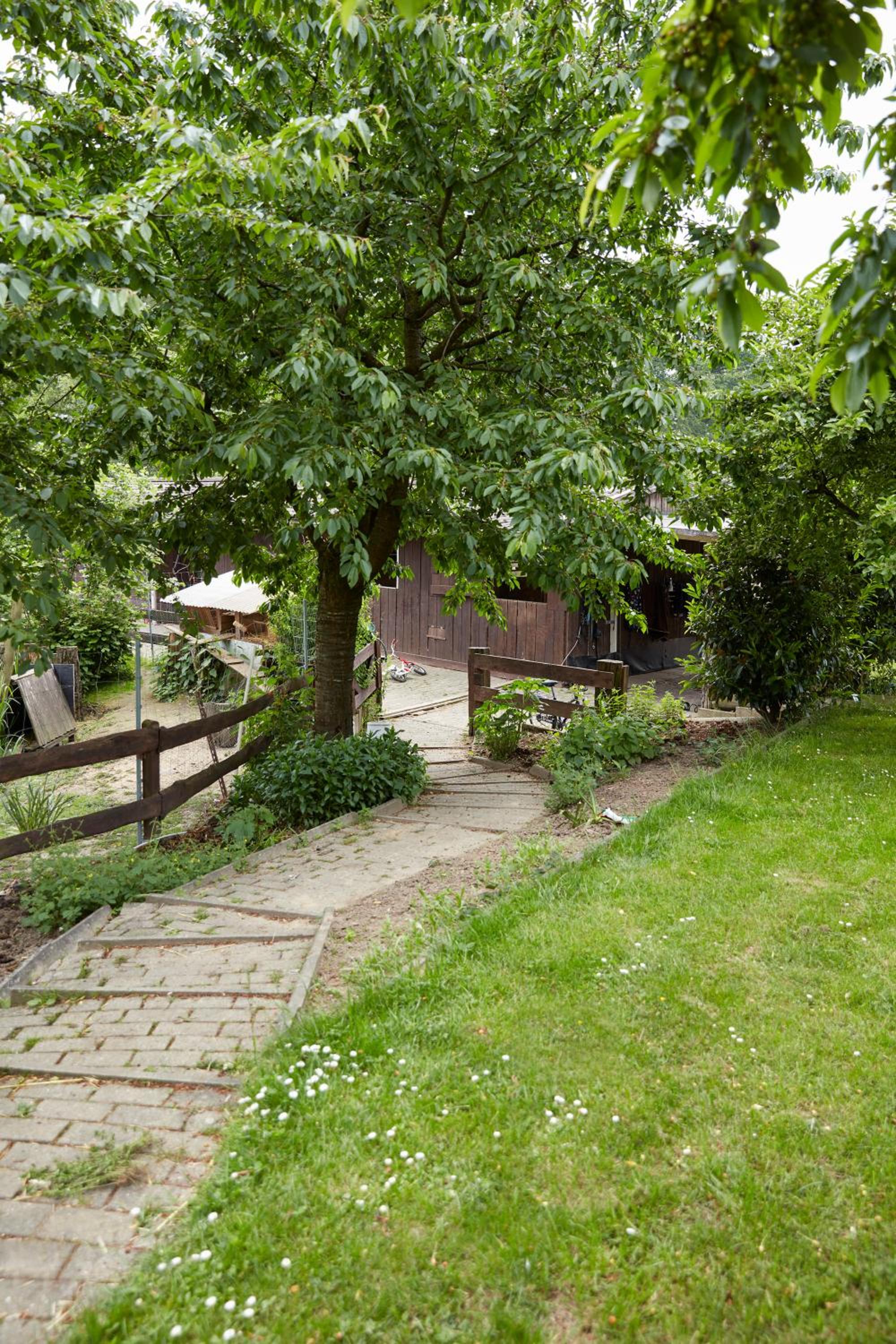 Photo 11