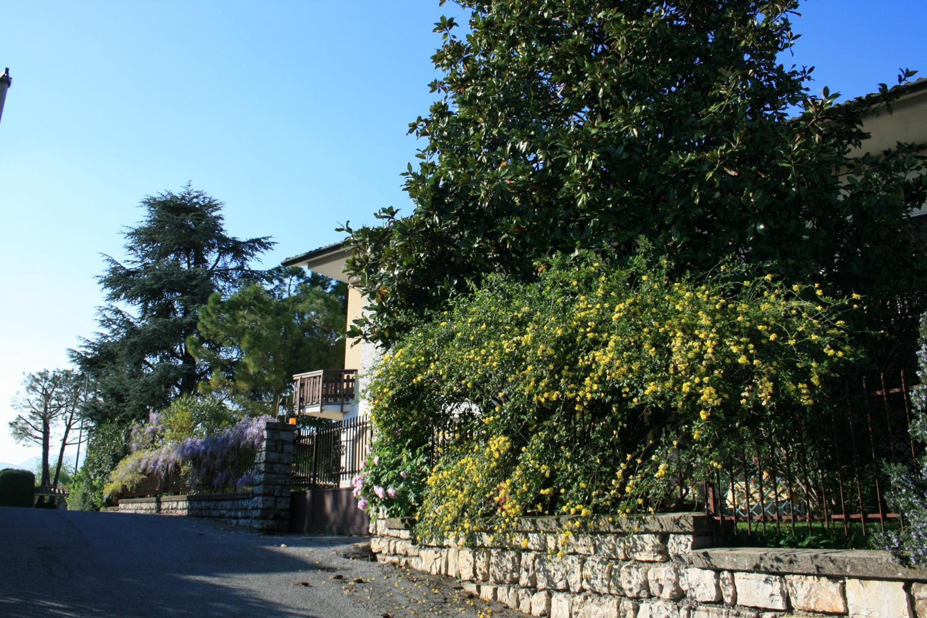 Photo 19