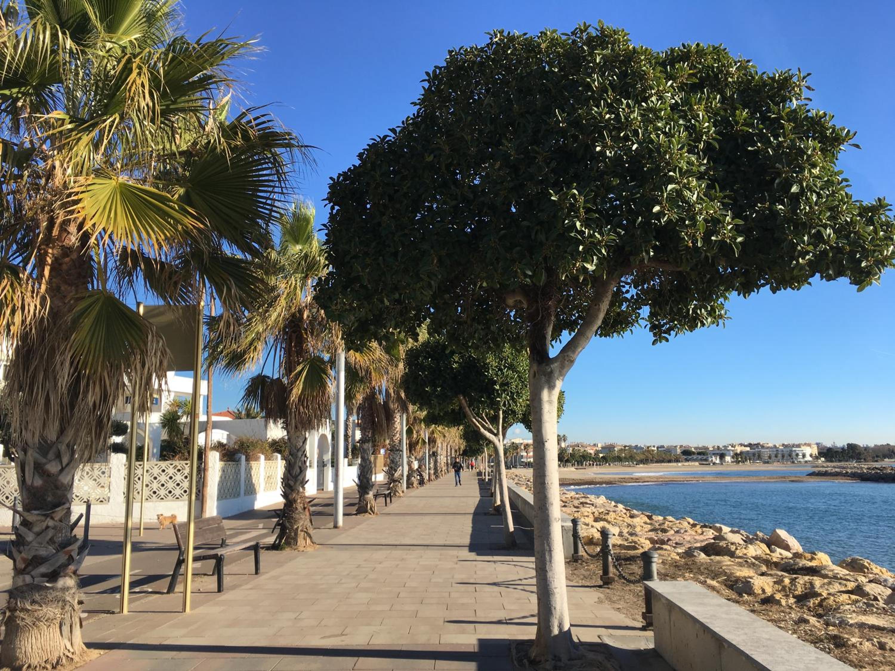 Rez de chaussée, terrasses. Plage Cambrils, Locamar. Violetes view 4