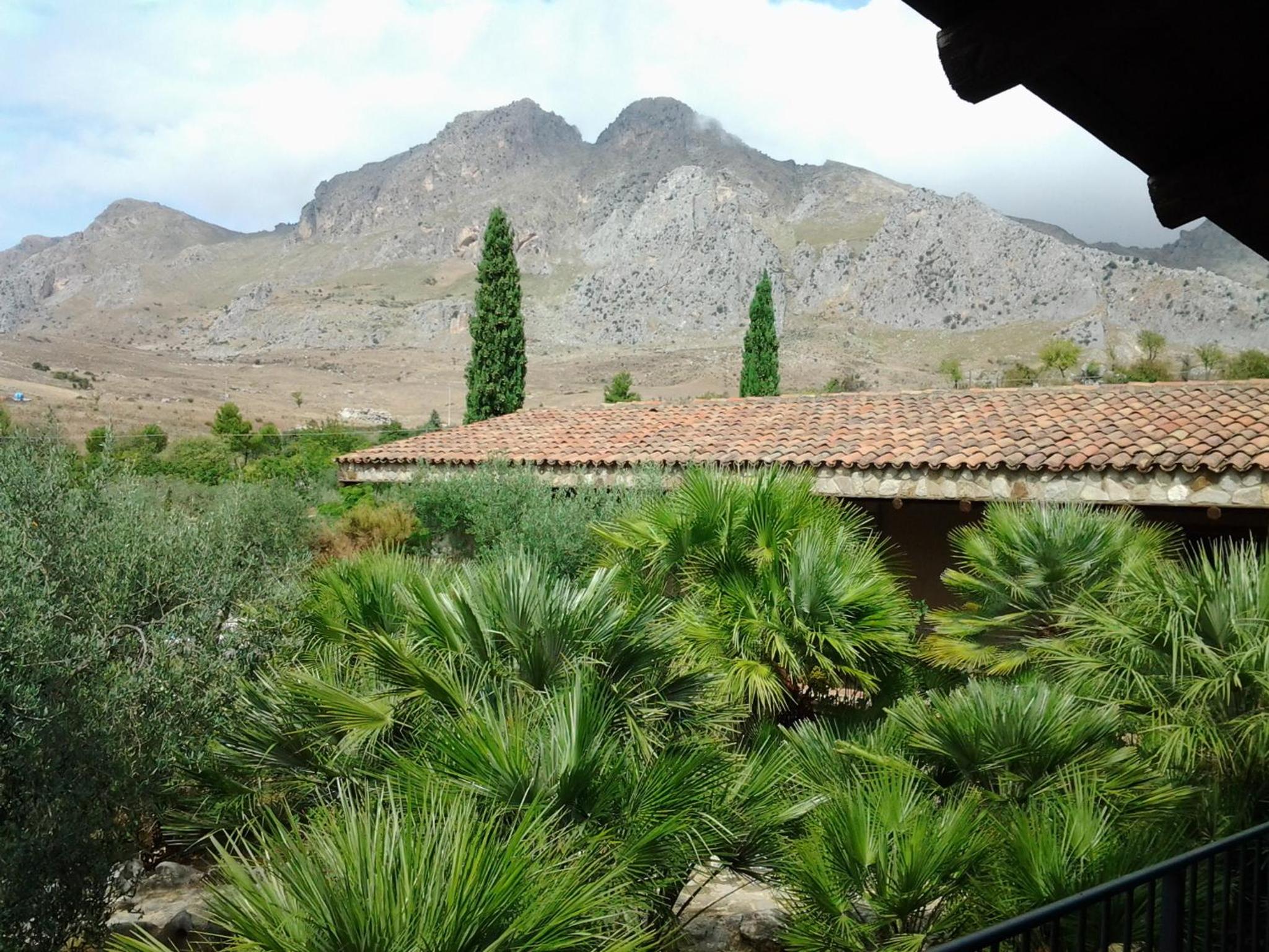 Photo 21