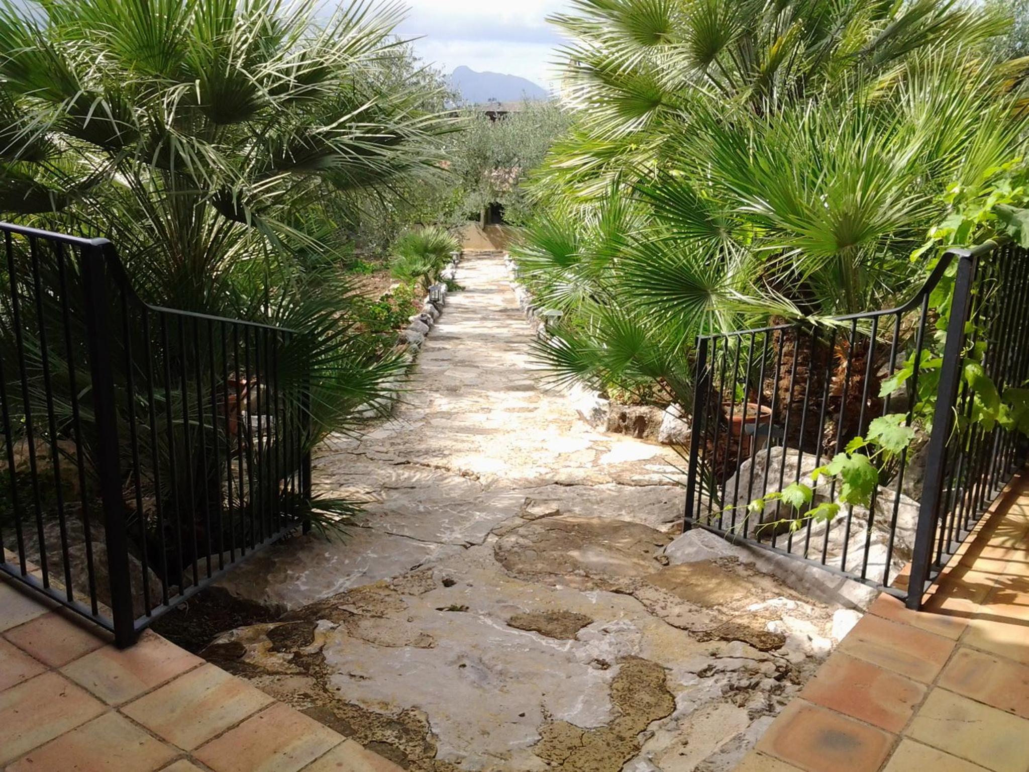 Photo 16
