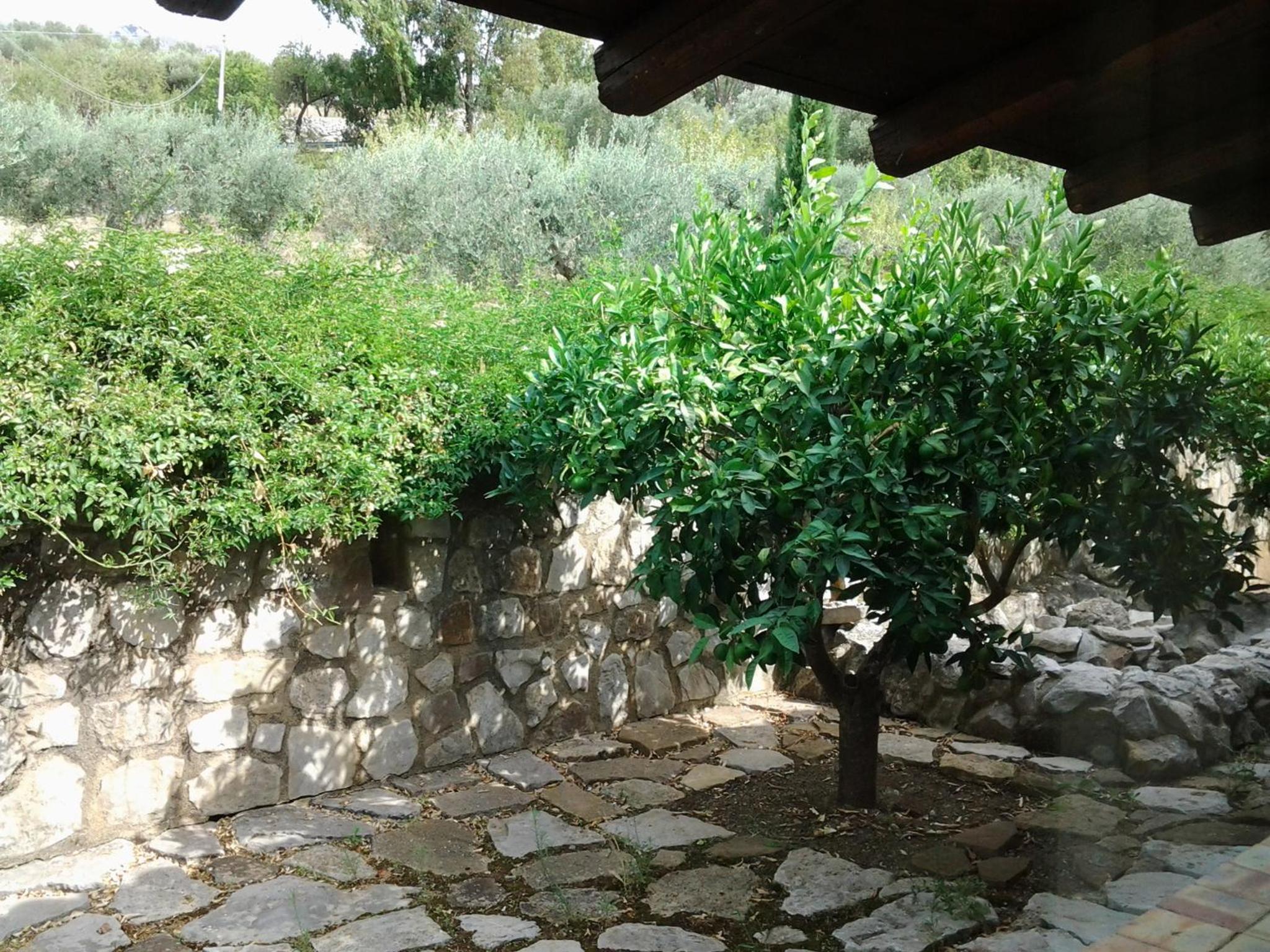 Photo 19