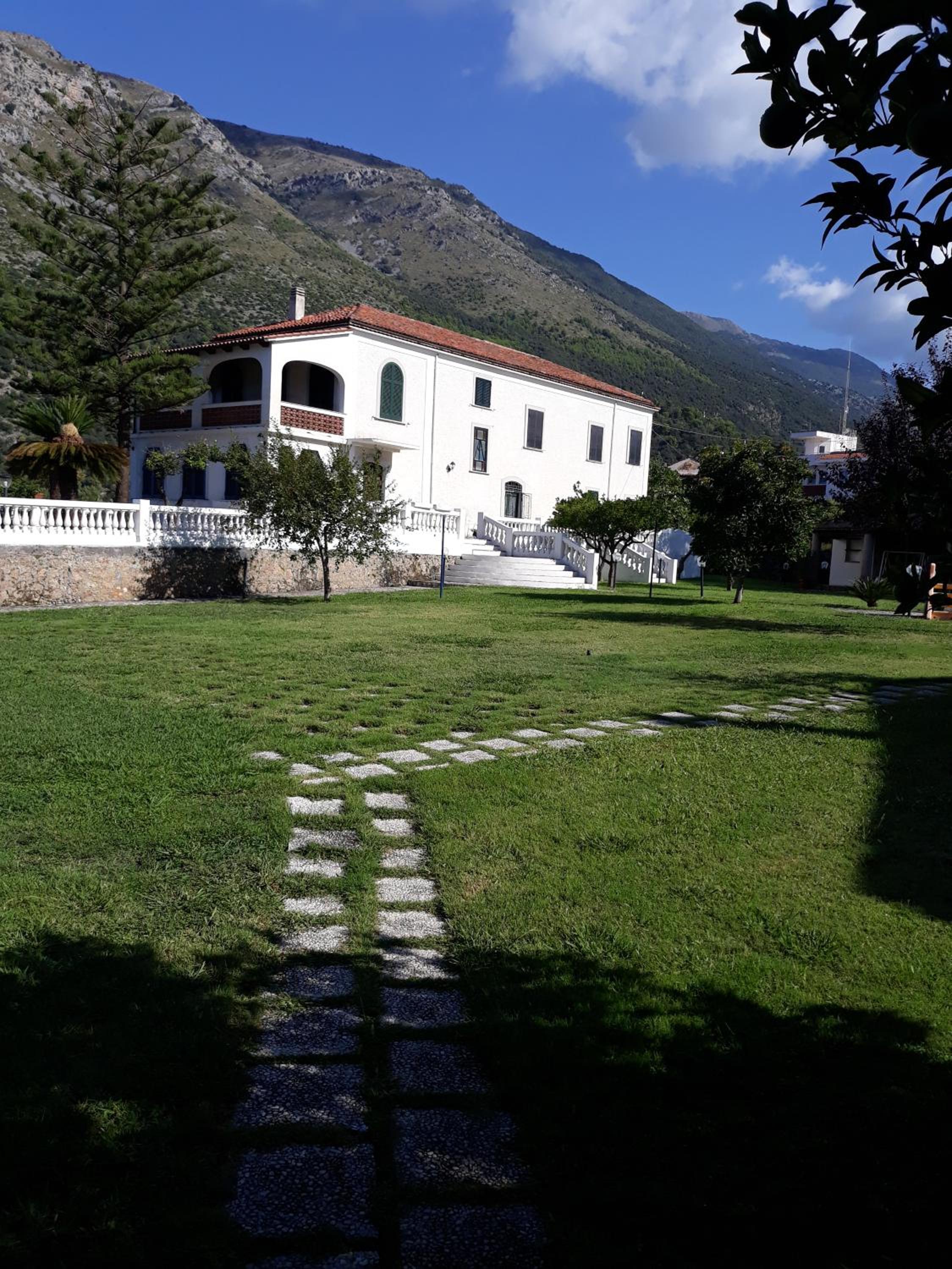 Photo 8