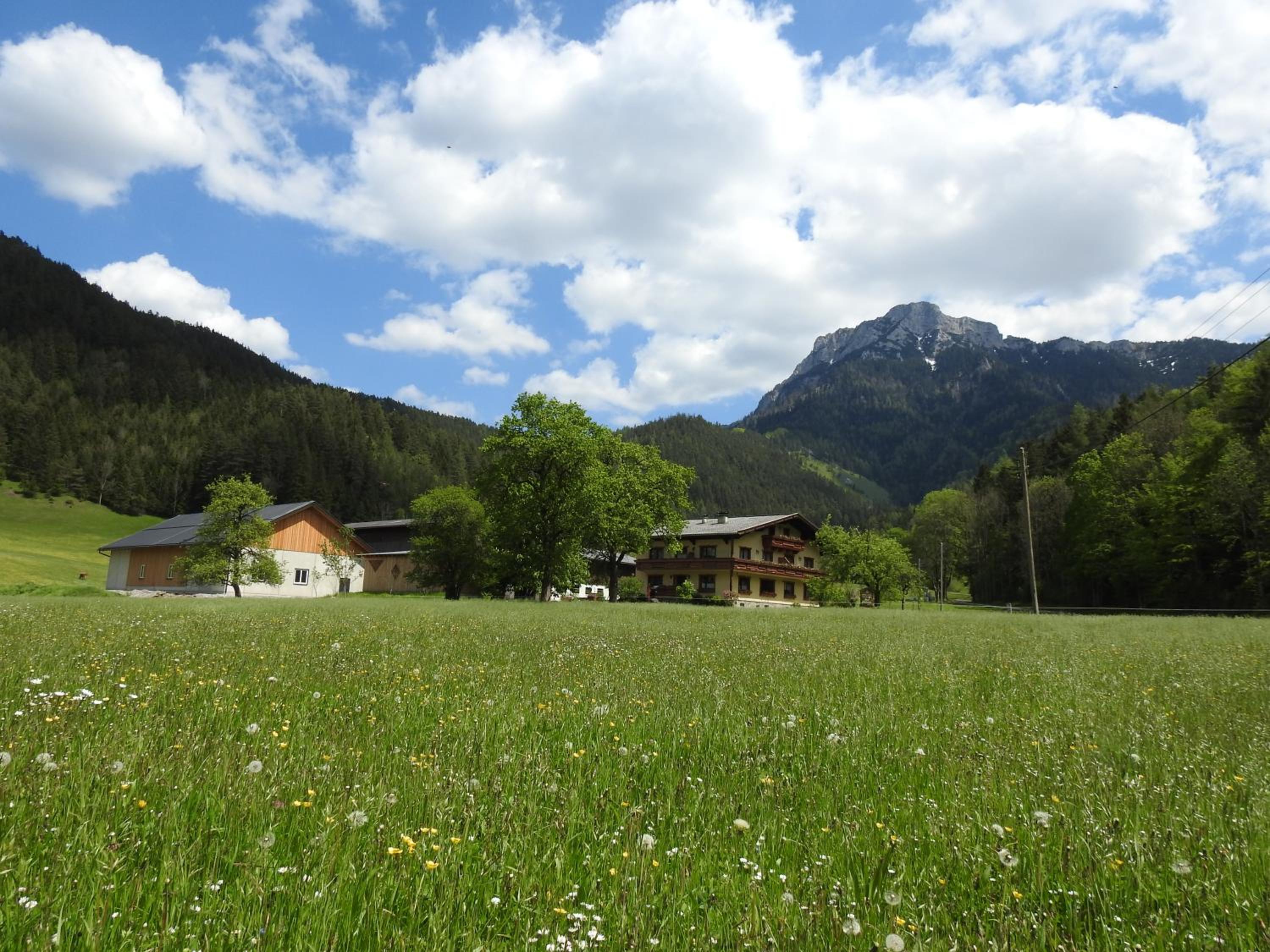 Bauernhof Moar view 2