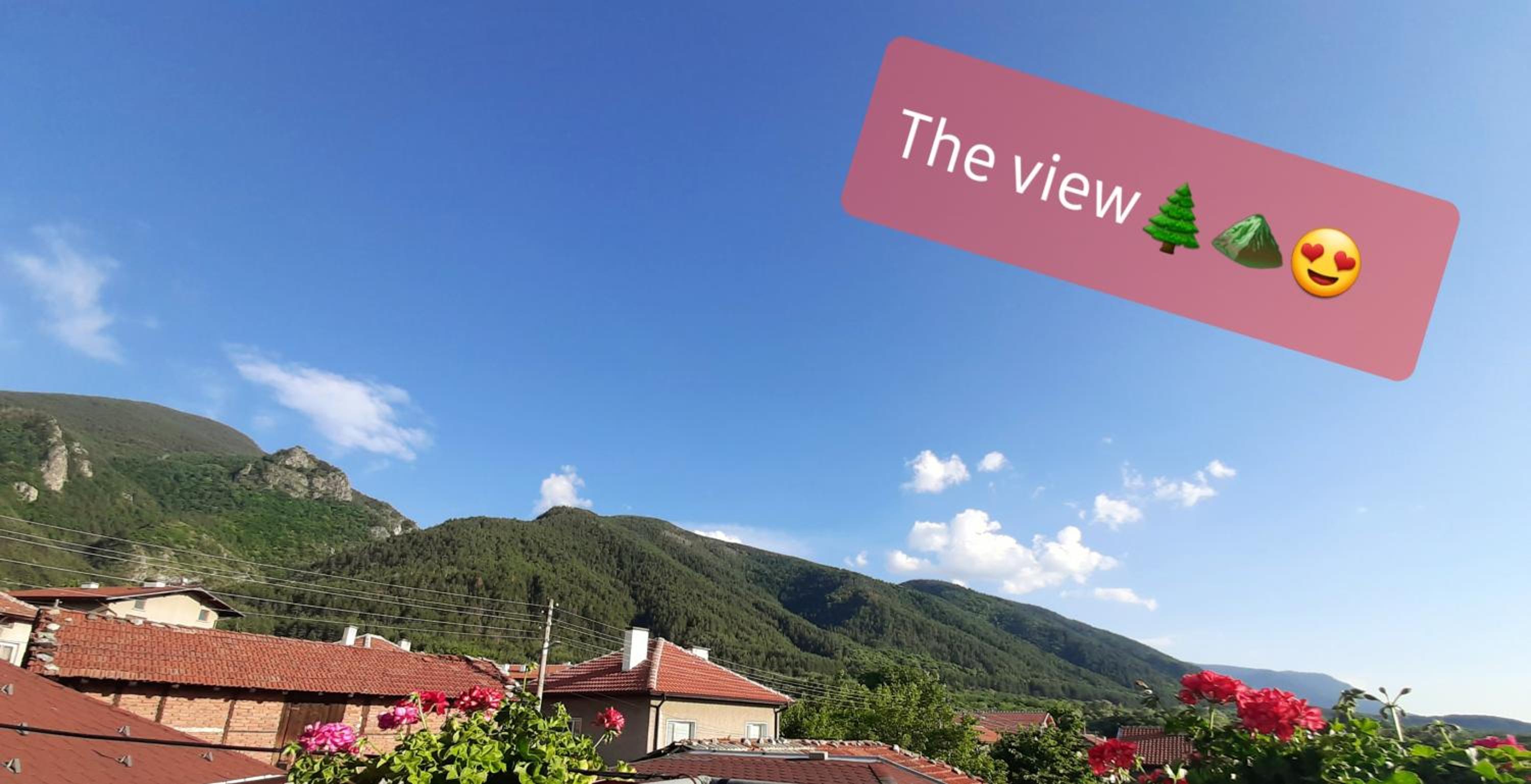 Къща за гости Ози, fotografía 2