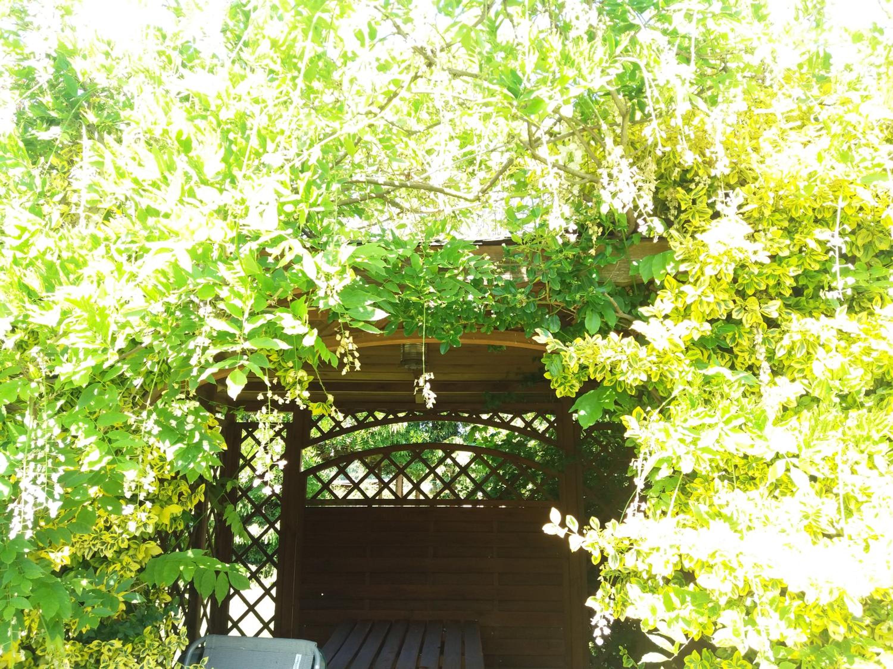 Photo 27