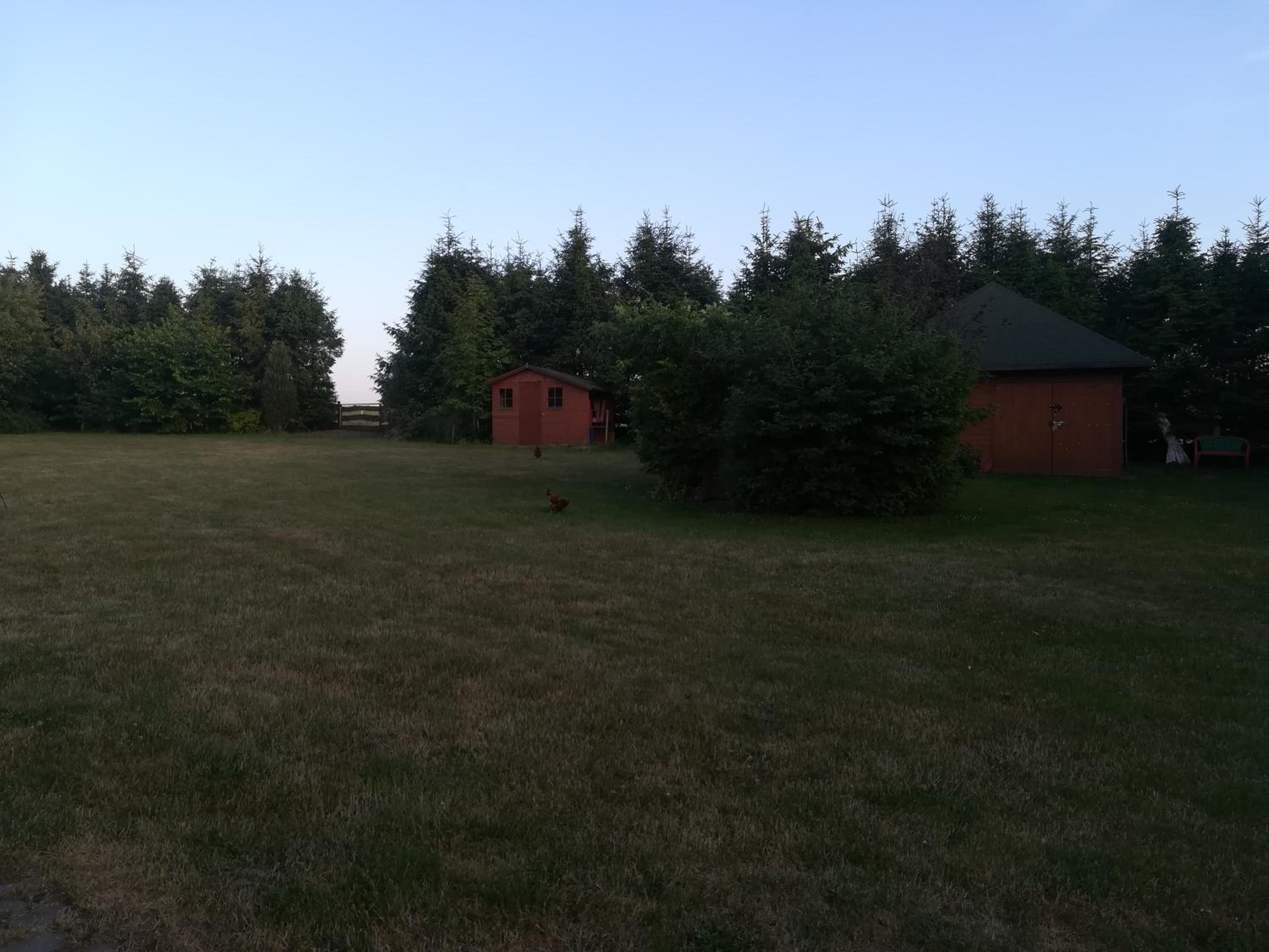 Photo 81