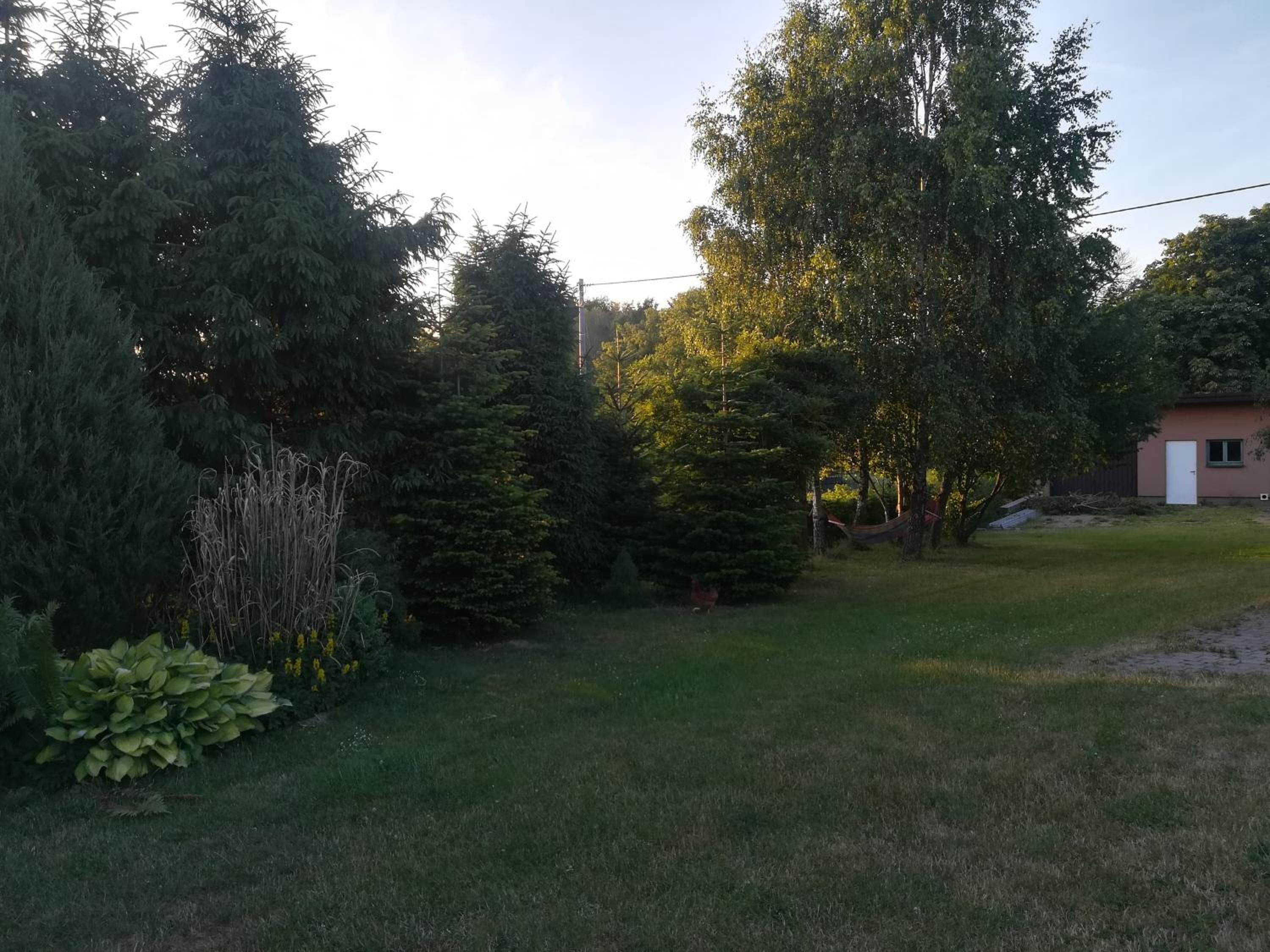 Photo 31