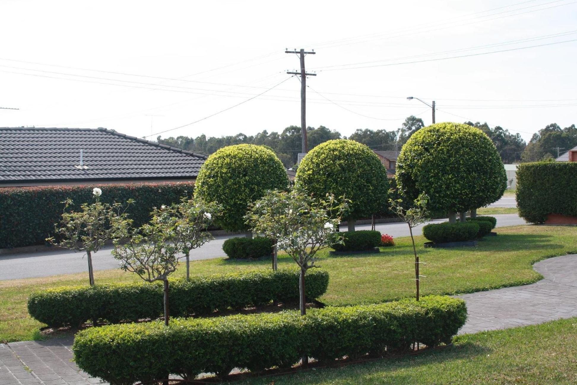 Hunter Valley Travellers Rest Motel