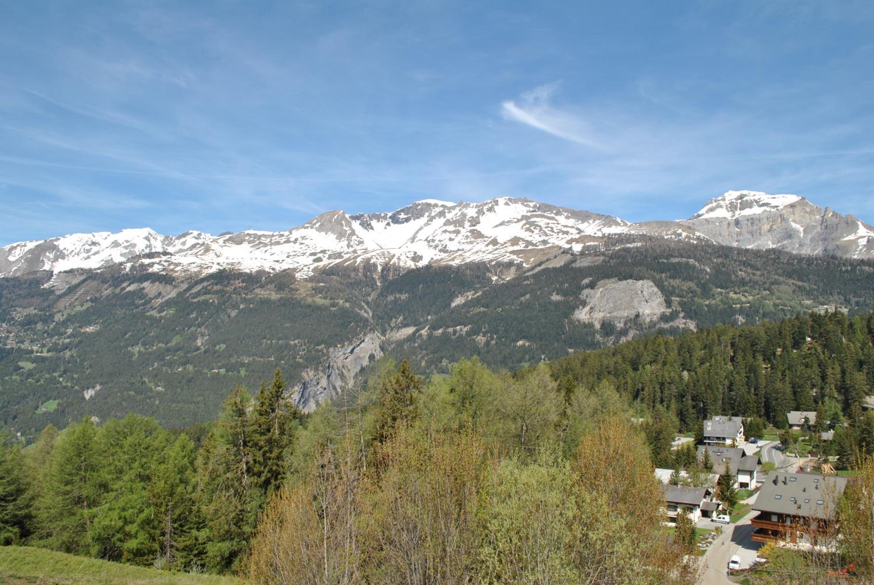 Photo 14