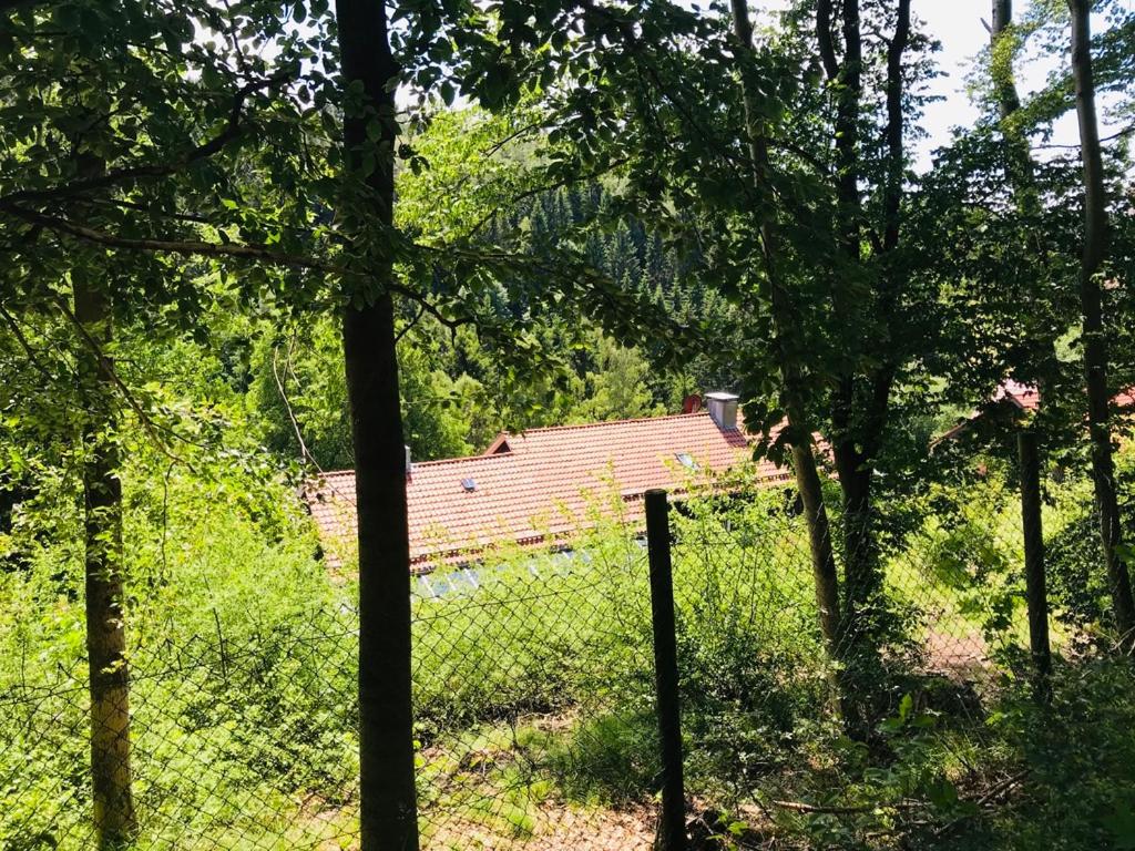 Altes Forstamt Altenau view 2