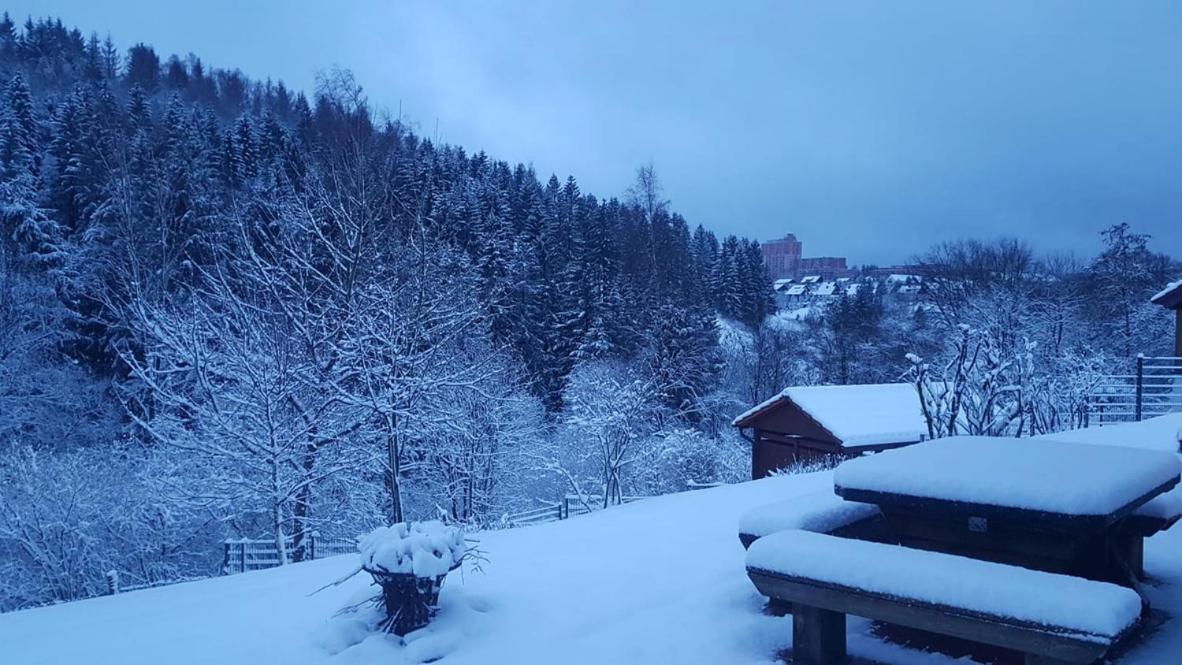 Altes Forstamt Altenau view 5