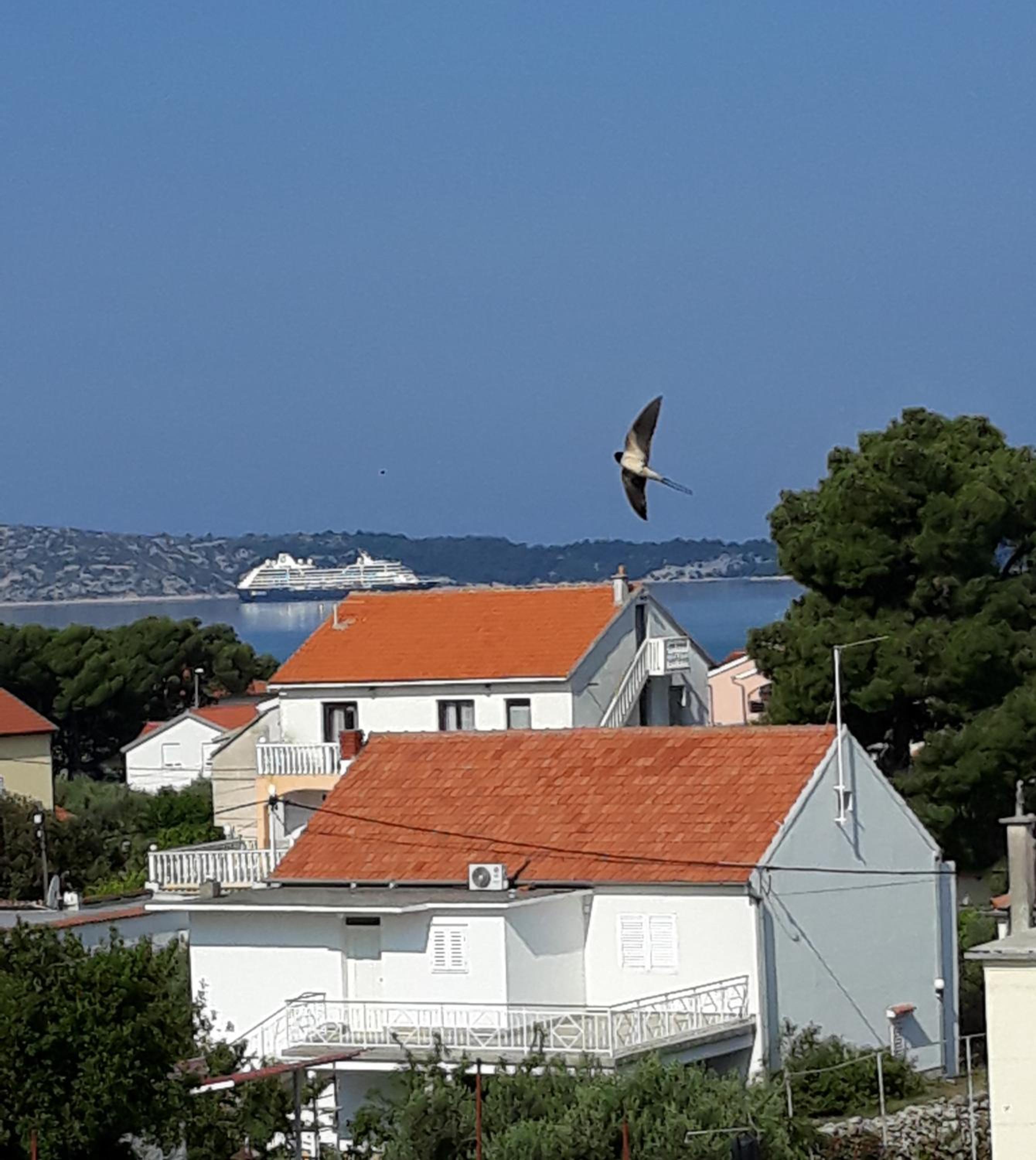 Apartments Maslina