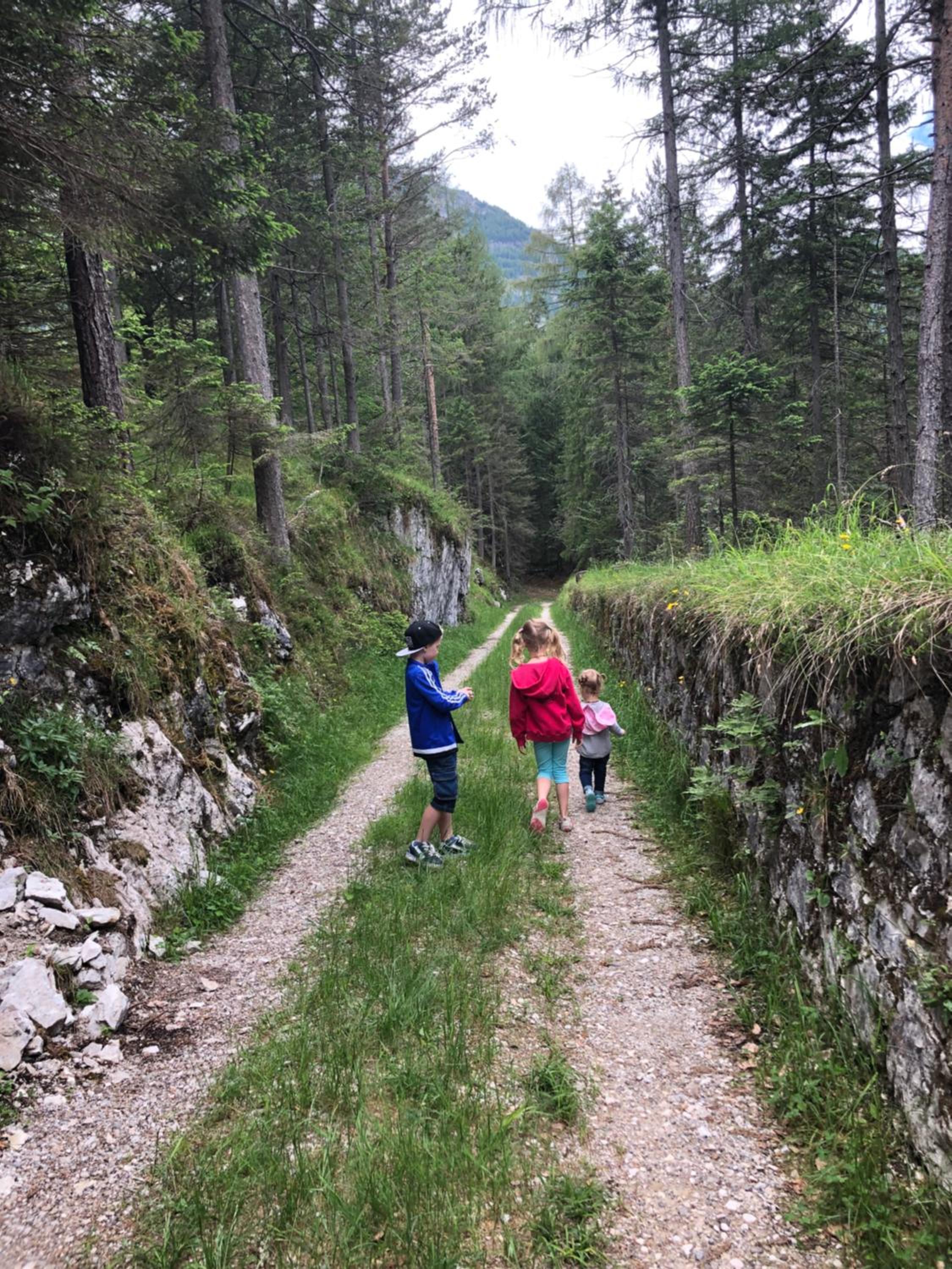 Photo 31