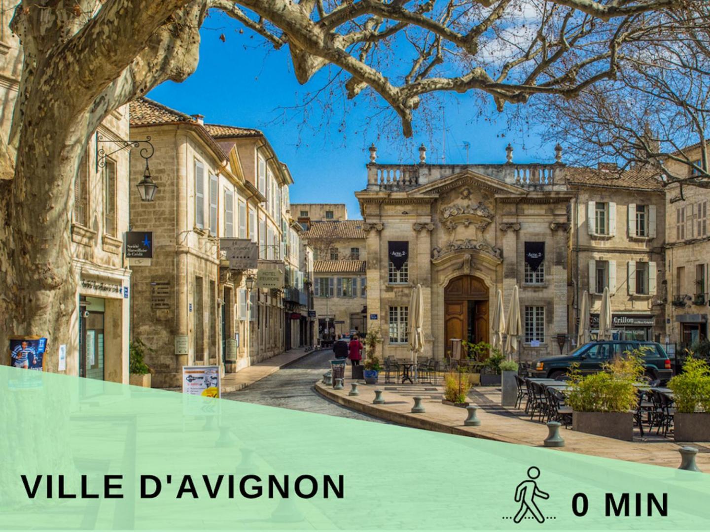 LE PETIT AVIGNONNAIS - APHRODITE - INTRAMUROS - CENTER -