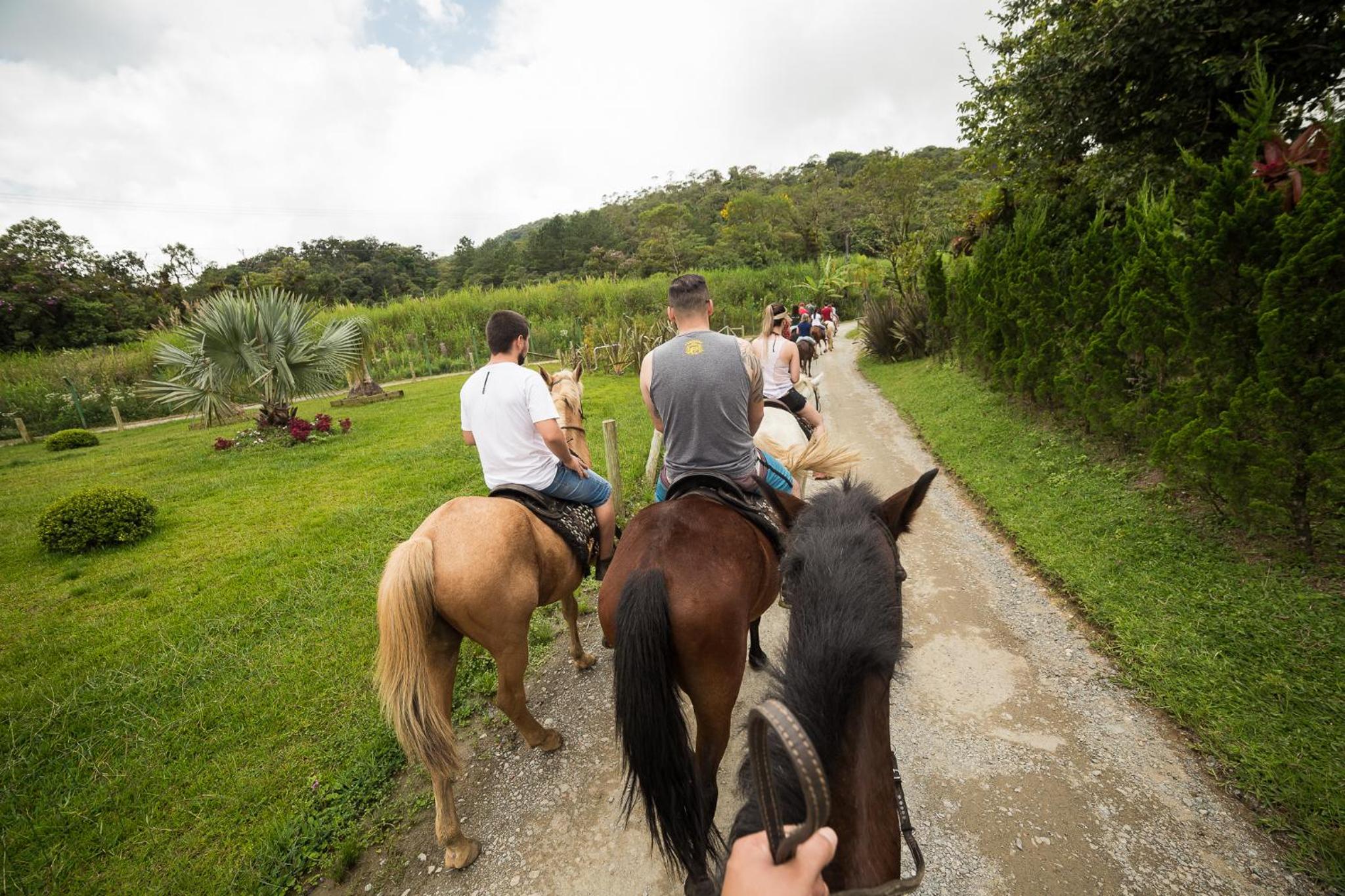 Hotel Fazenda Dona Francisca