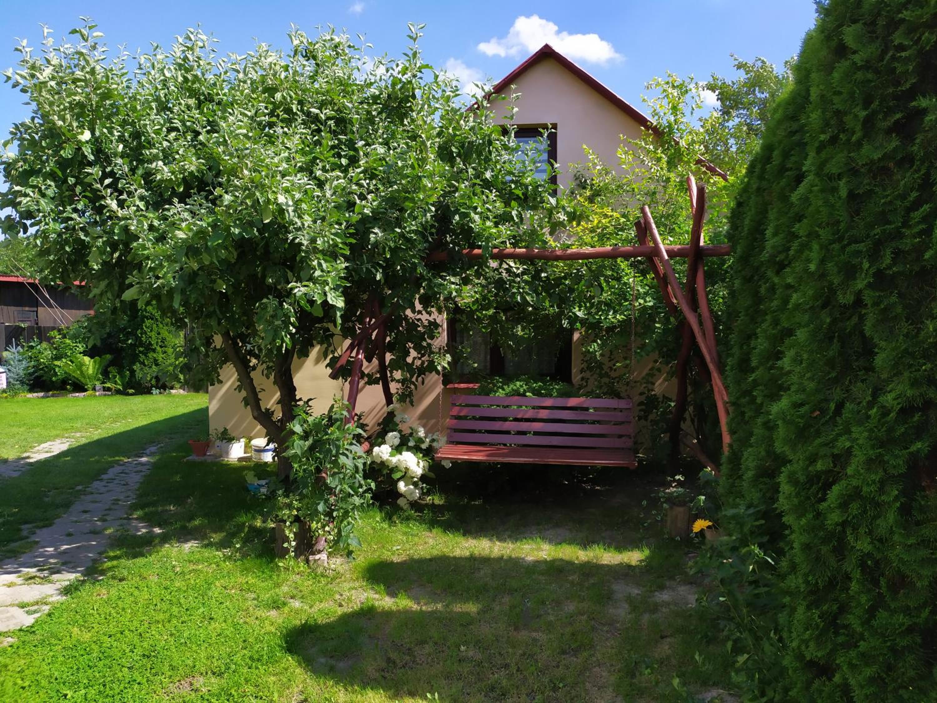 Photo 7