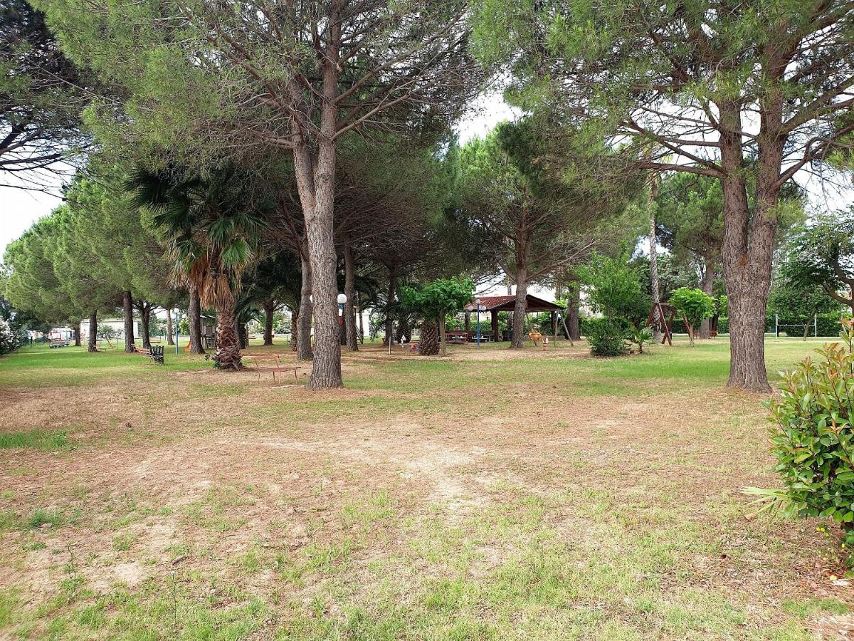 children's play area