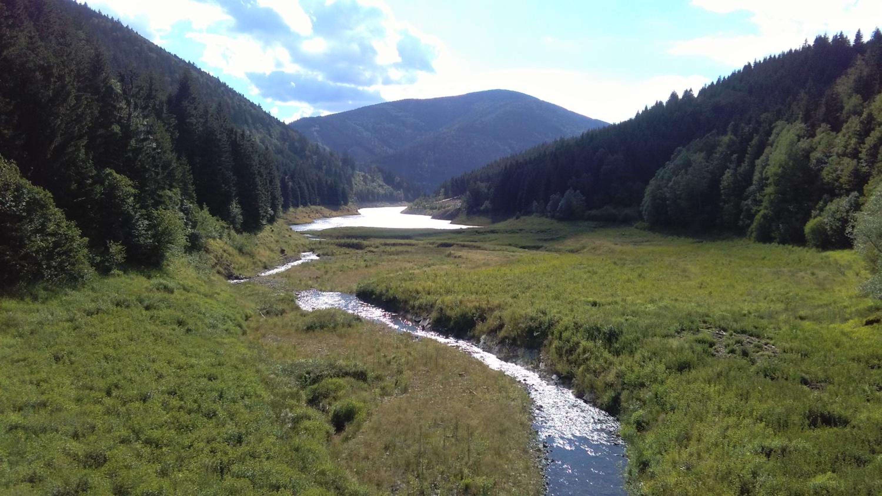 Photo 47