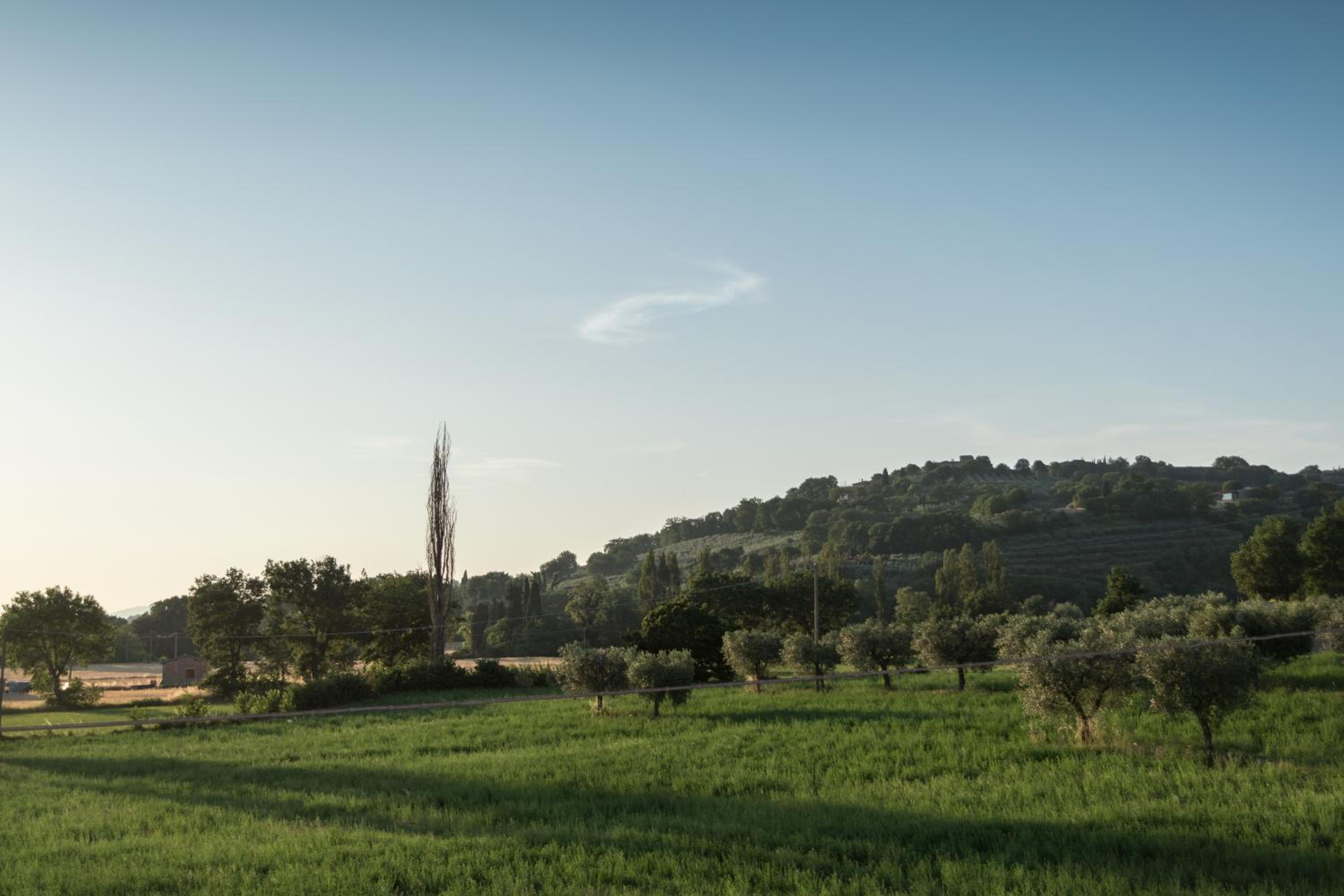 Bed & Breakfast Al Pian d'Assisi