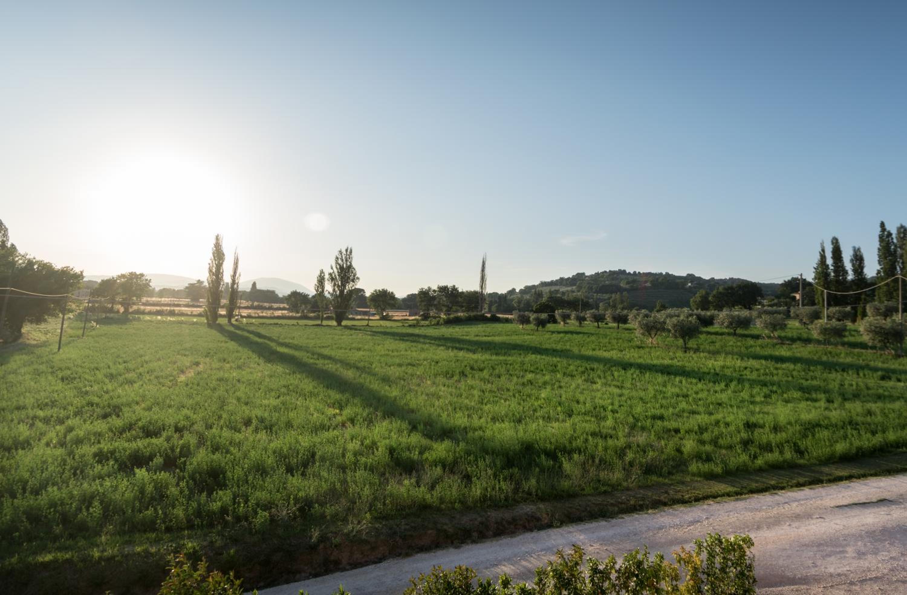 Bed & Breakfast Al Pian d'Assisi