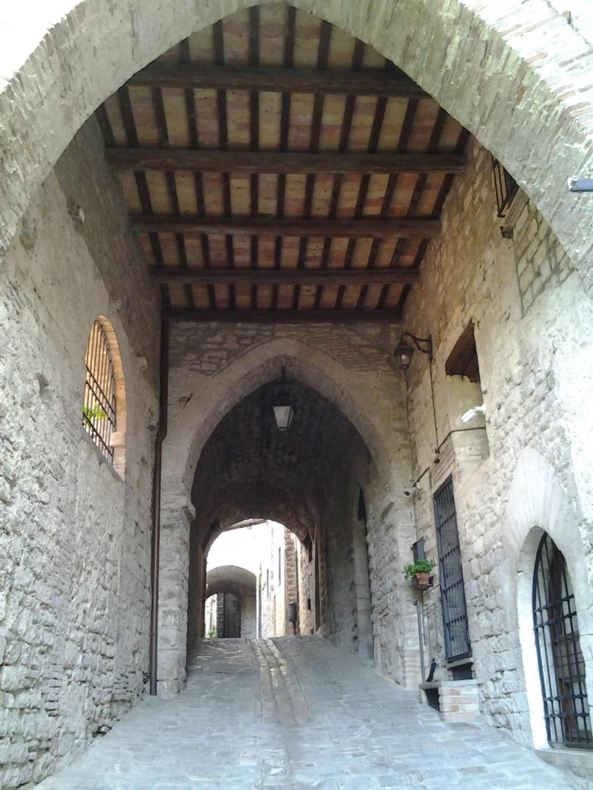 Photo 39