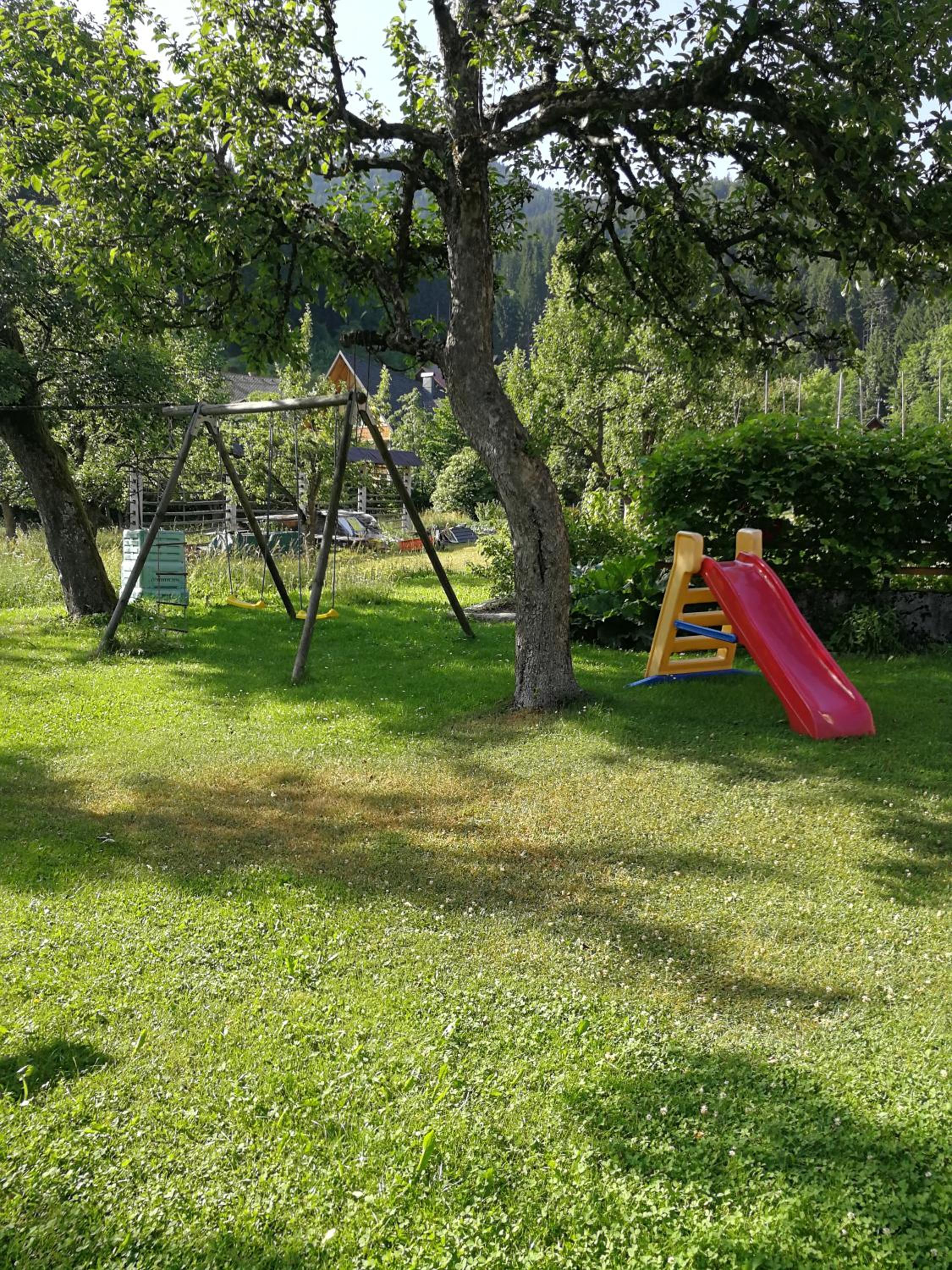 Photo 49