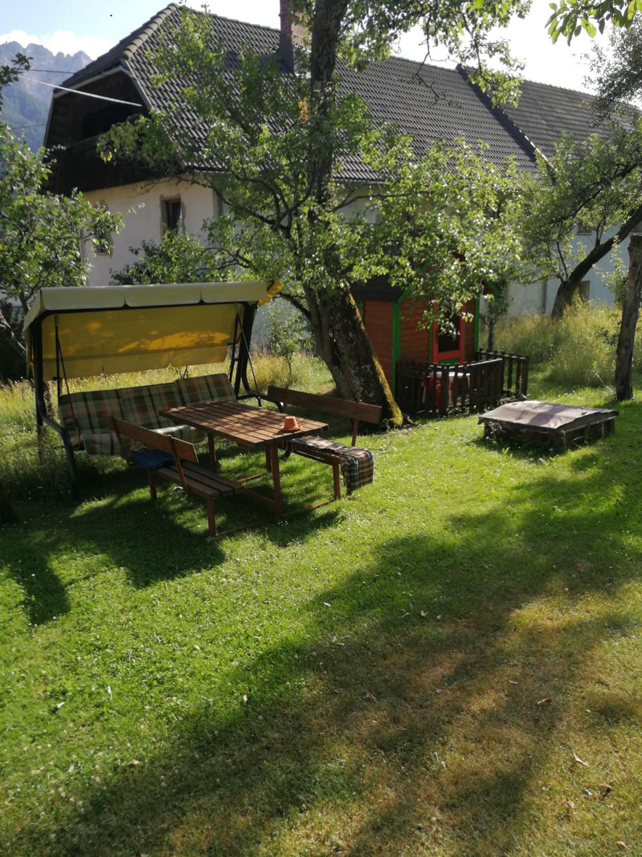 Photo 46