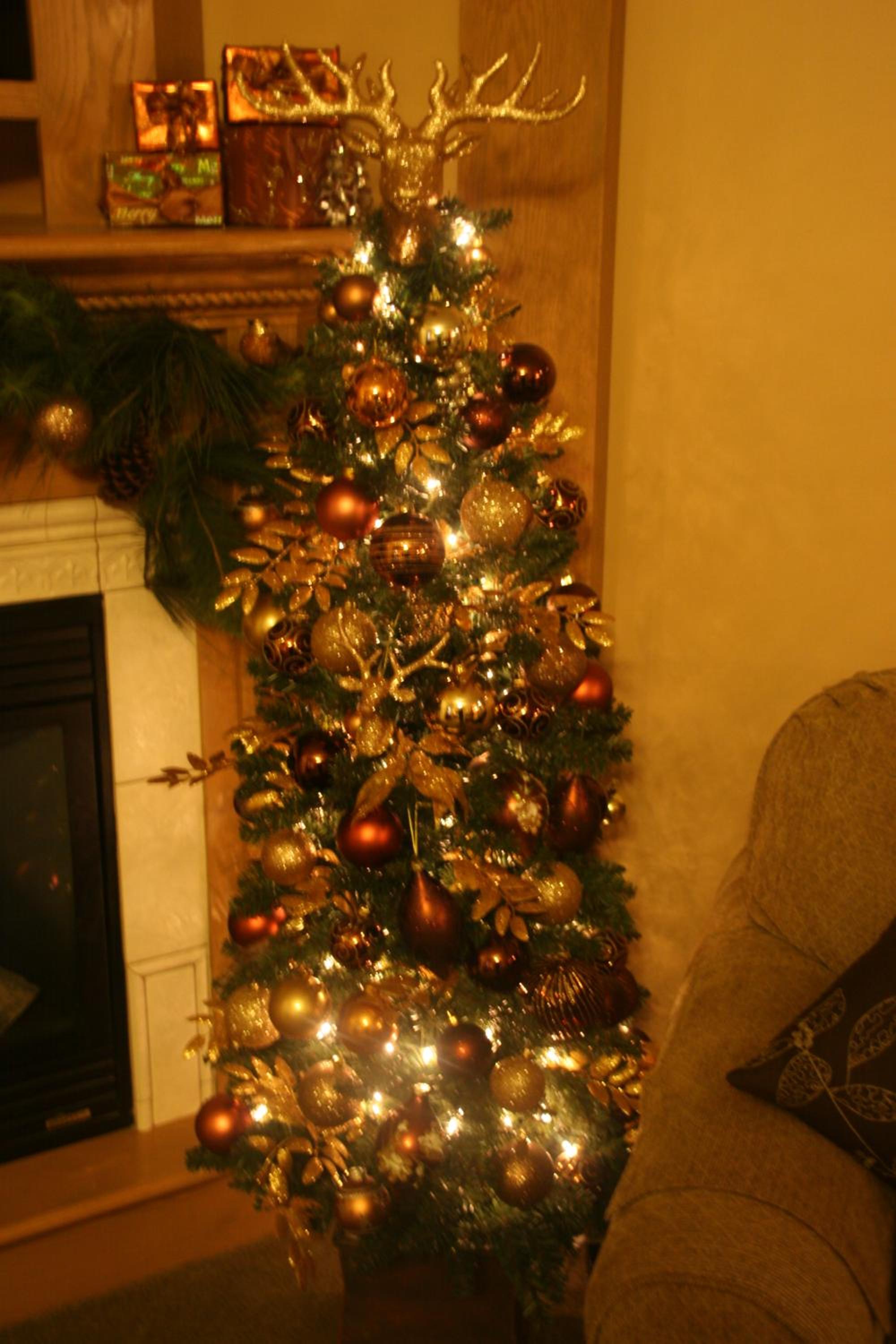 Photo 40