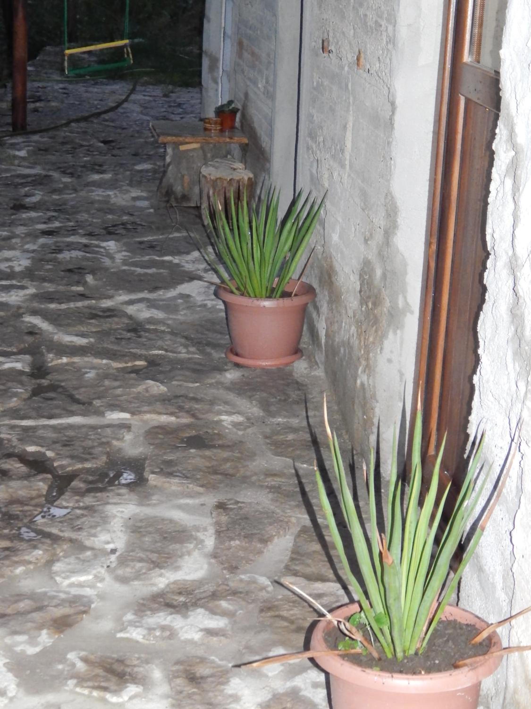 Arami Guest House
